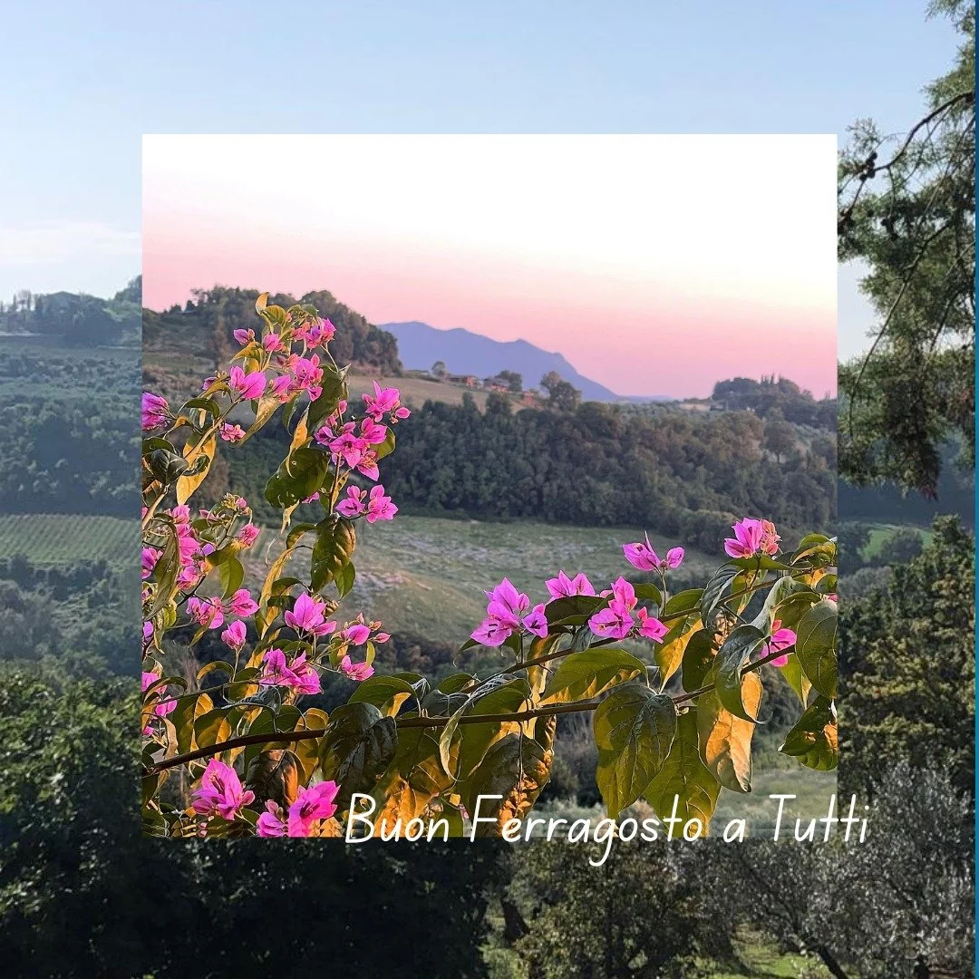 🌿 Buon Ferragosto from Olive Hill Sabina! Or, if you prefer, Happy Assumption Day 💫

Today we&rsquo;re indulging in a long, lazy lunch in one of our favorite places, with some of our favorite people. 

Ferragosto is a a celebration of summer, tradi