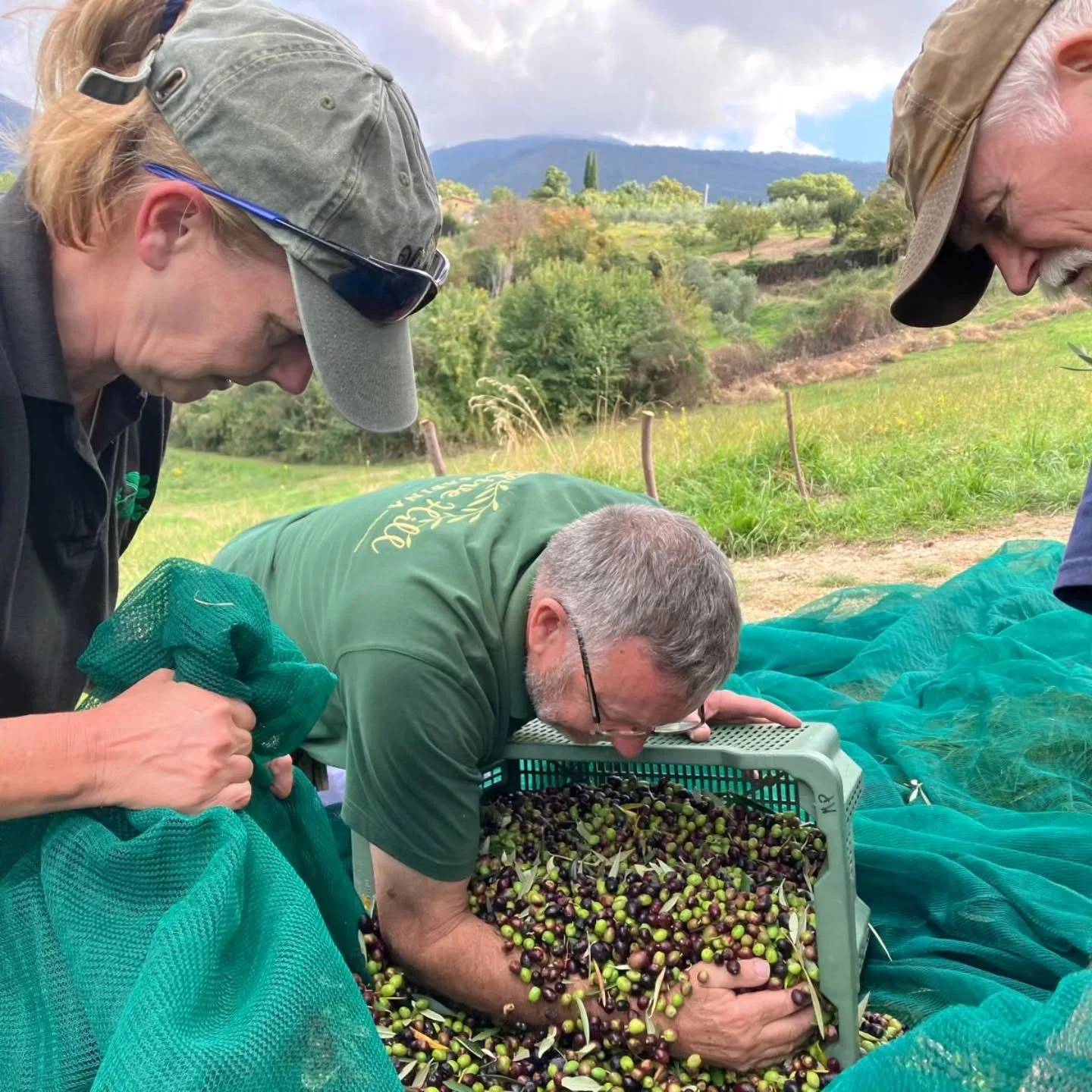 #ObbsessedWithOlives
Ever wondered what we do with our free time?
Well, at this time of year, we're lucky enough to have friends who need help with their olive harvests!
A wonderful autumn day in the Sabina sunshine, with great friends, a great lunch