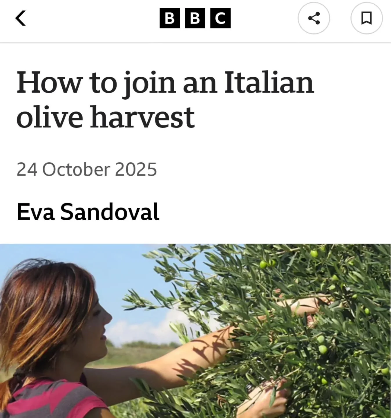 Get ready to fall in love with olive oil! 

This BBC article on oleoturismo highlights the growing trend of olive oil tourism. 

At Olive Hill Sabina, we're passionate about sharing our love for olive oil with visitors from around the world. 

Join u