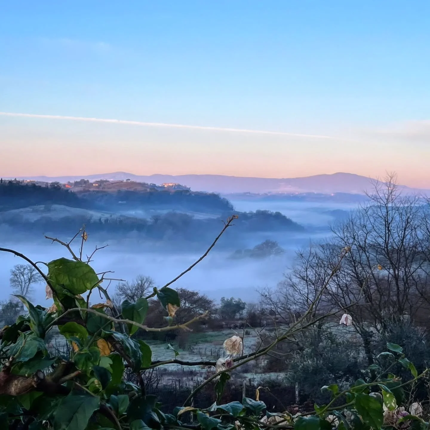 Out of Office!

We will be missing this beautiful morning view for the next couple of weeks, as we head back to the UK for some family time.

Olive oil experiences will resume on 28 February 2026.

A presto!

#outofoffice #morningview #familytime #ol