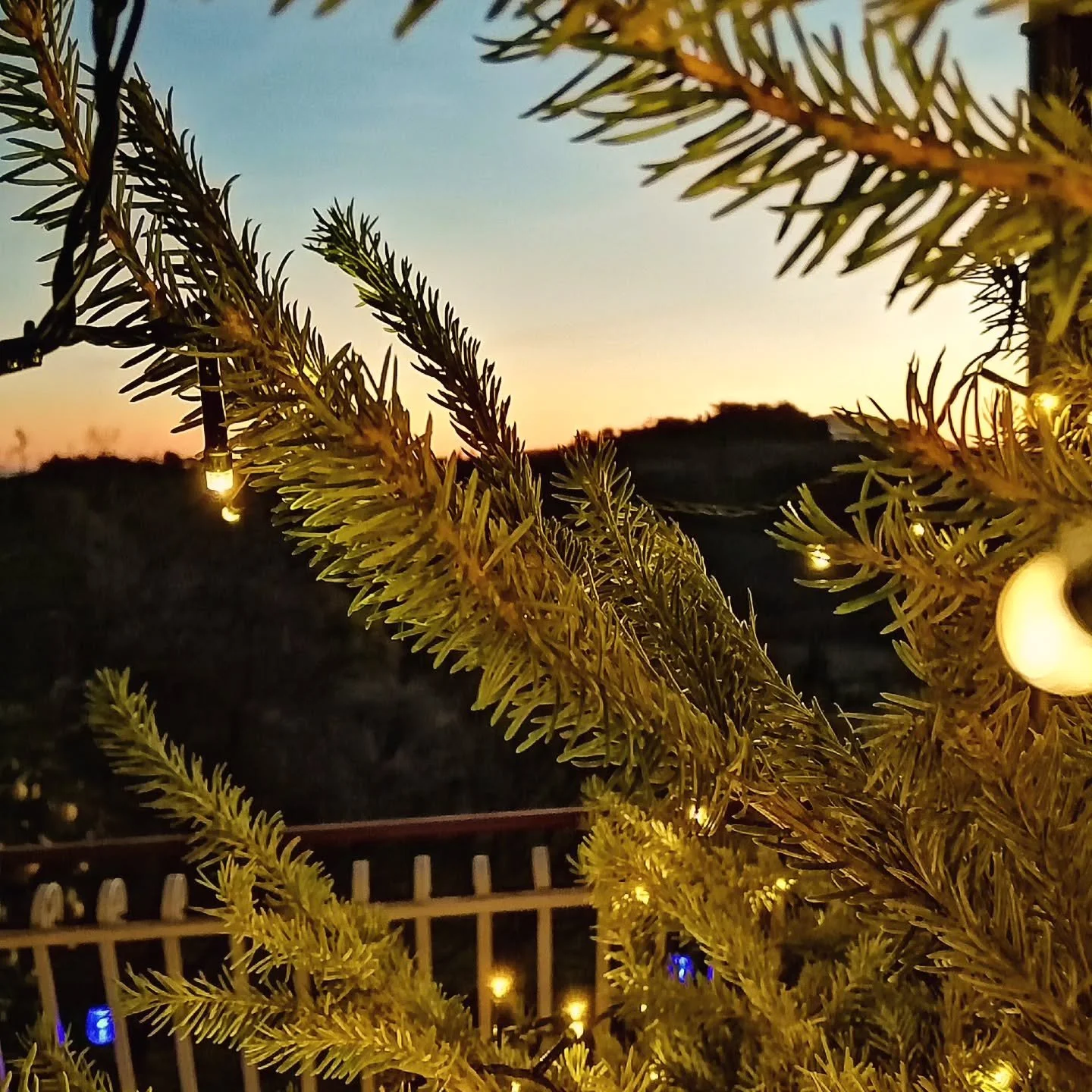 Happy Christmas, from our home to yours.