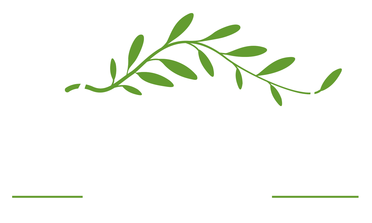 Olive Hill Sabina