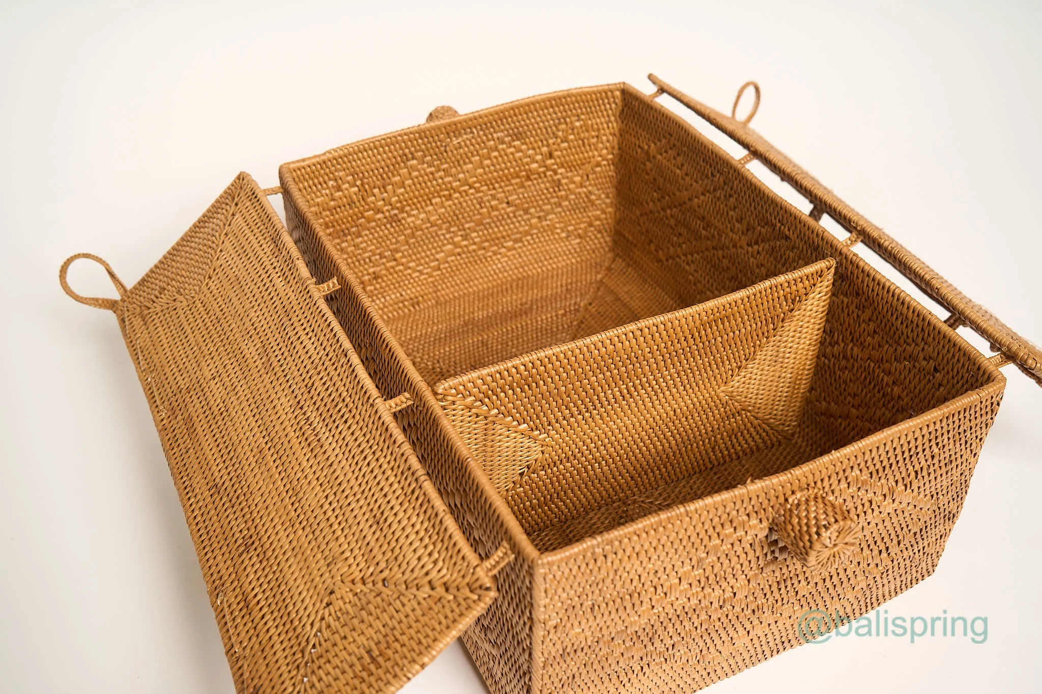 Ata from Bali Spring 209.jpg