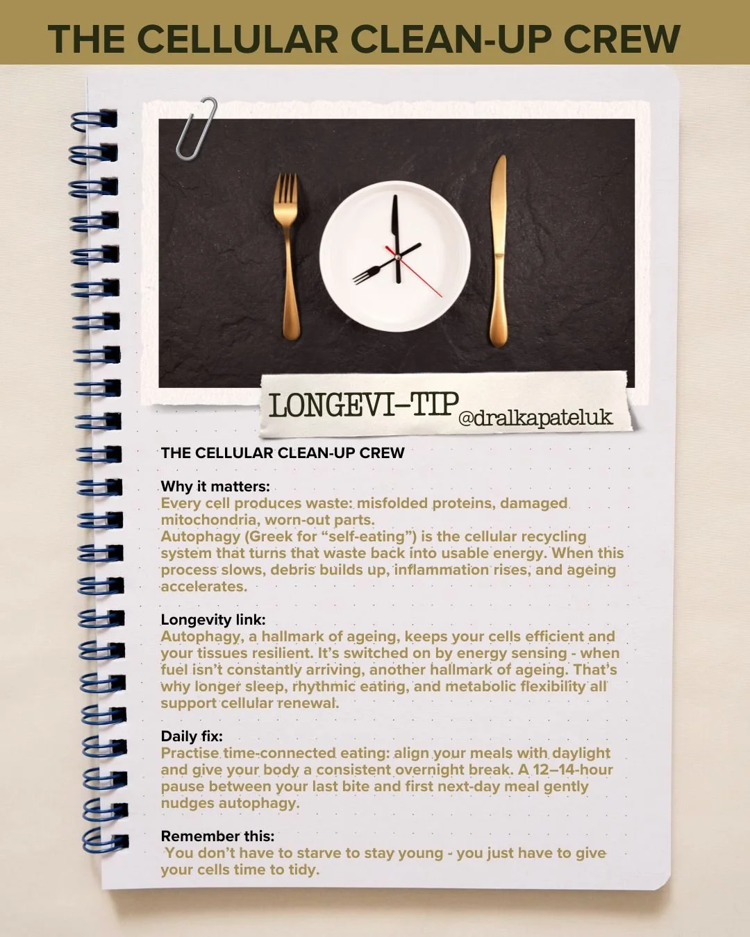 I don't call it time-restricted feeding: we're not animals in a zoo. 
I don't call it intermittent fasting: we're not denying ourselves food.
Instead I call it time-connected eating: we’re reconnecting our eating clocks to our body clocks.
Be