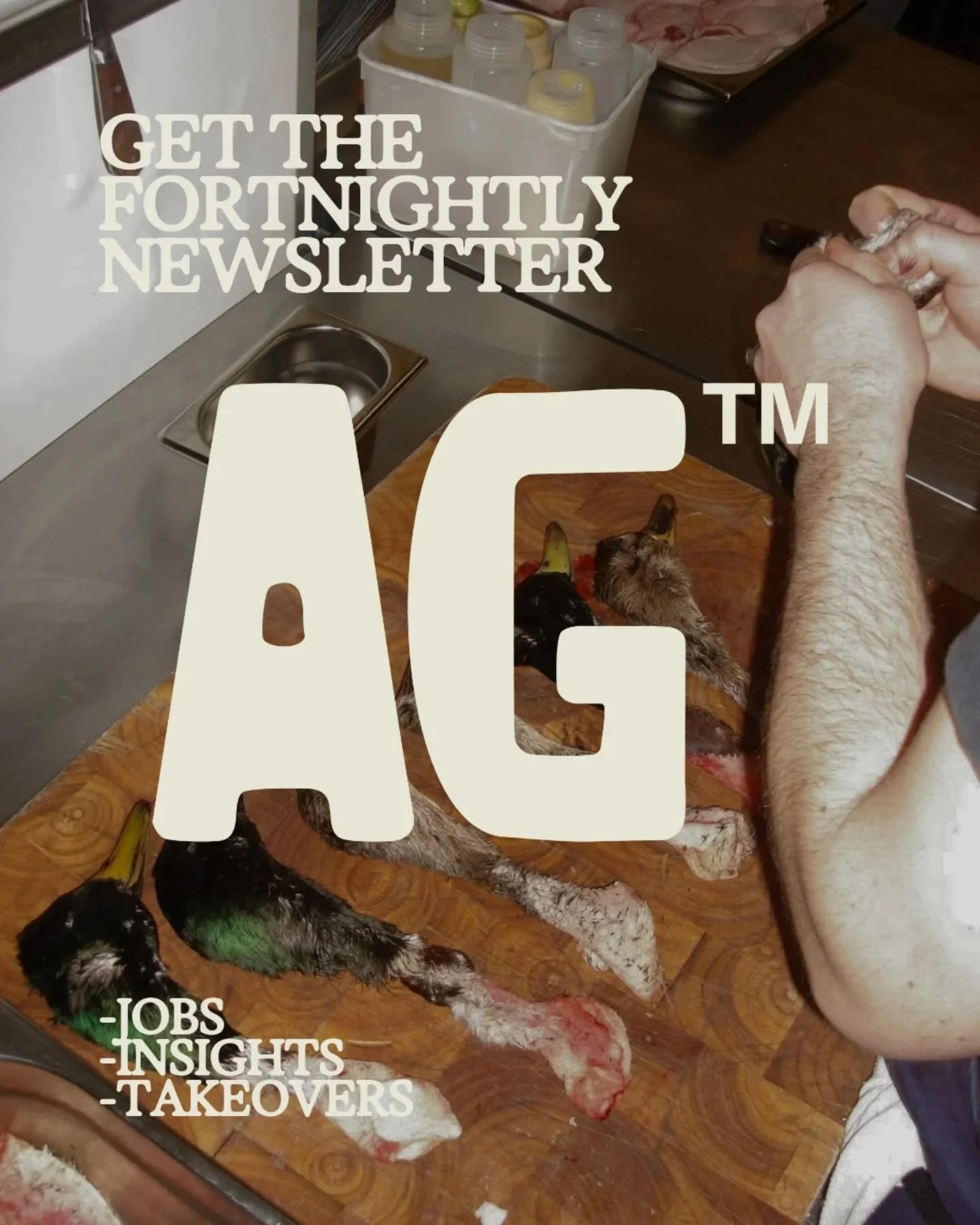 Subscribe to our fortnightly newsletter, link in bio.

AG
