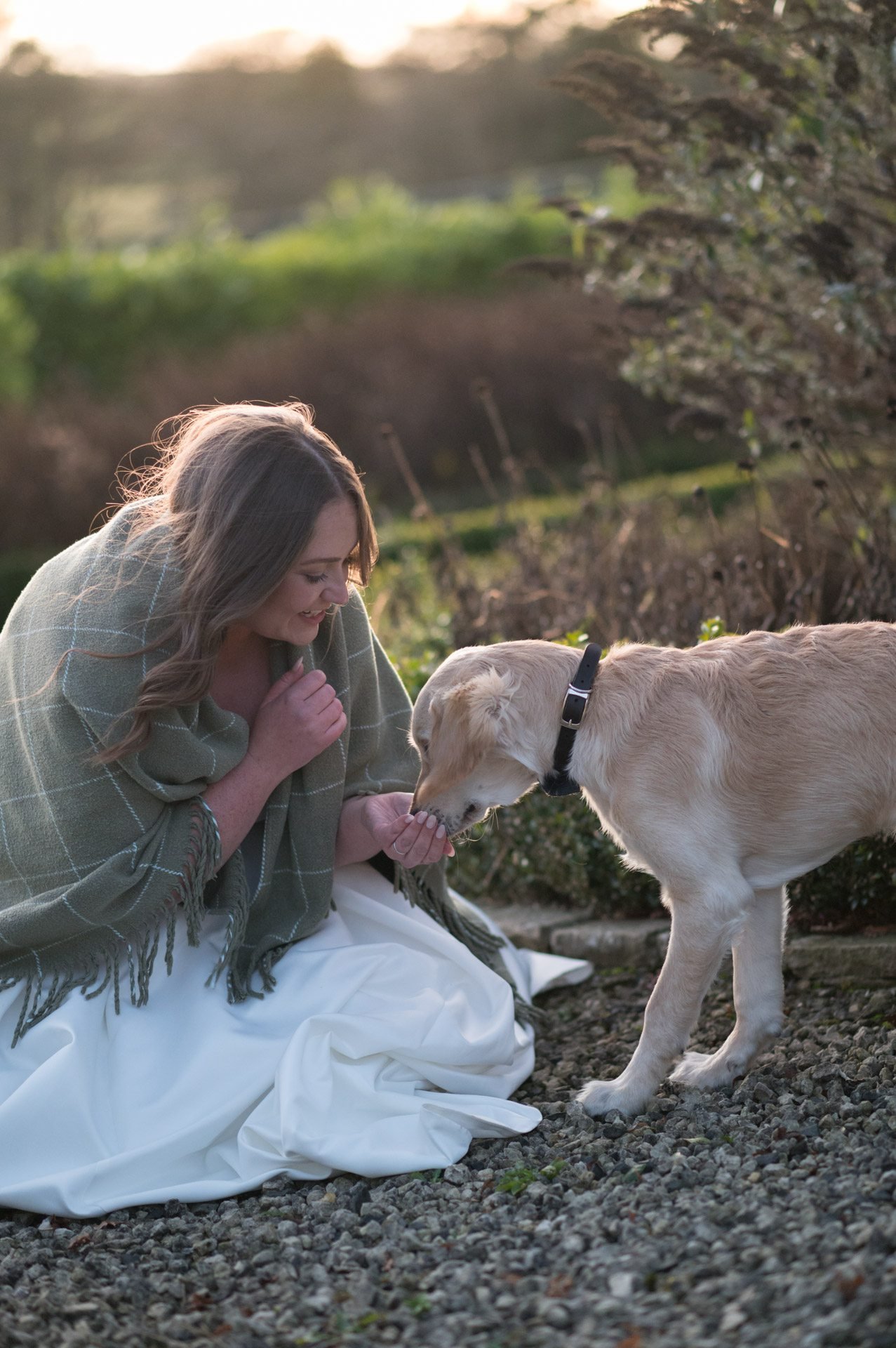 The Pawfect Wedding_Ali Jay Photography 2023-12-21153113.jpg