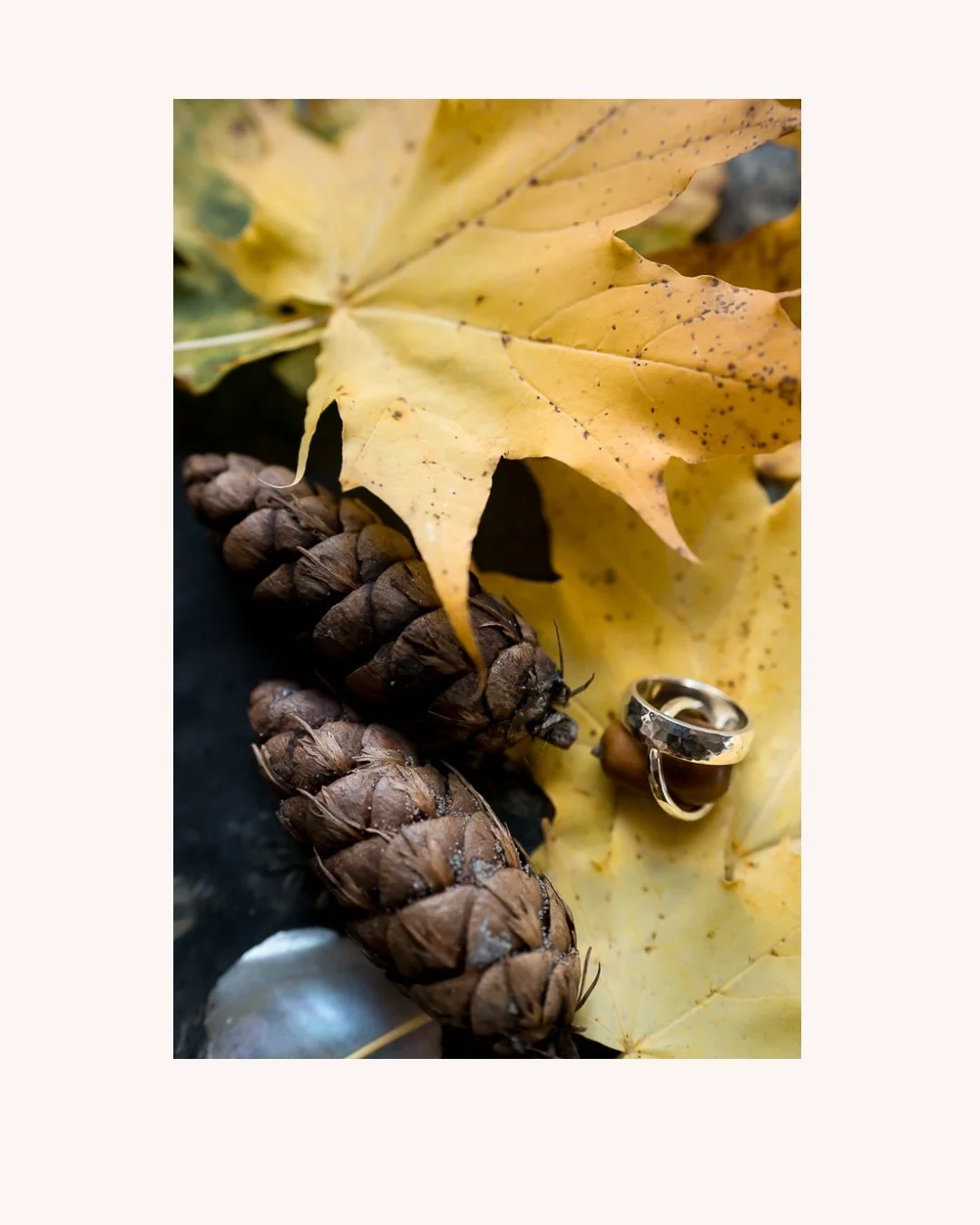 It may be cold, but oh my &hellip; what a beautiful time of year to get married. There&rsquo;s something so magical about autumn weddings, especially when you&rsquo;re surrounded by beautiful trees.

I absolutely loved returning to the stunning Traqu