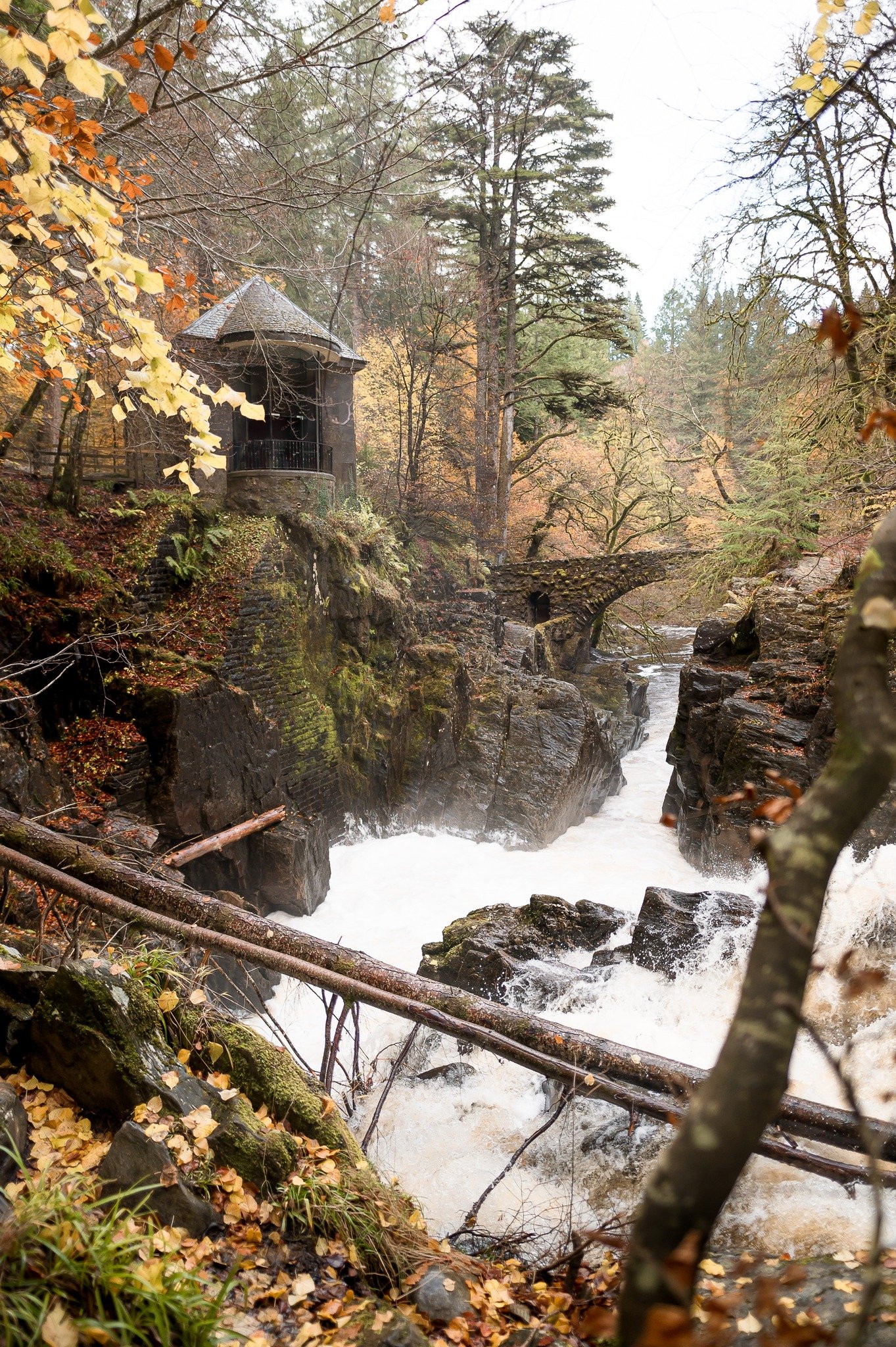 One of things I look for in a family shoot is variety &mdash; all in one place!

For example the Hermitage in Perthshire has:
🌲 towering woodland paths
🌉 the iconic stone bridge
💦 dramatic waterfalls
🌿 mossy rocks and ferns
🏞️ peaceful riverbank