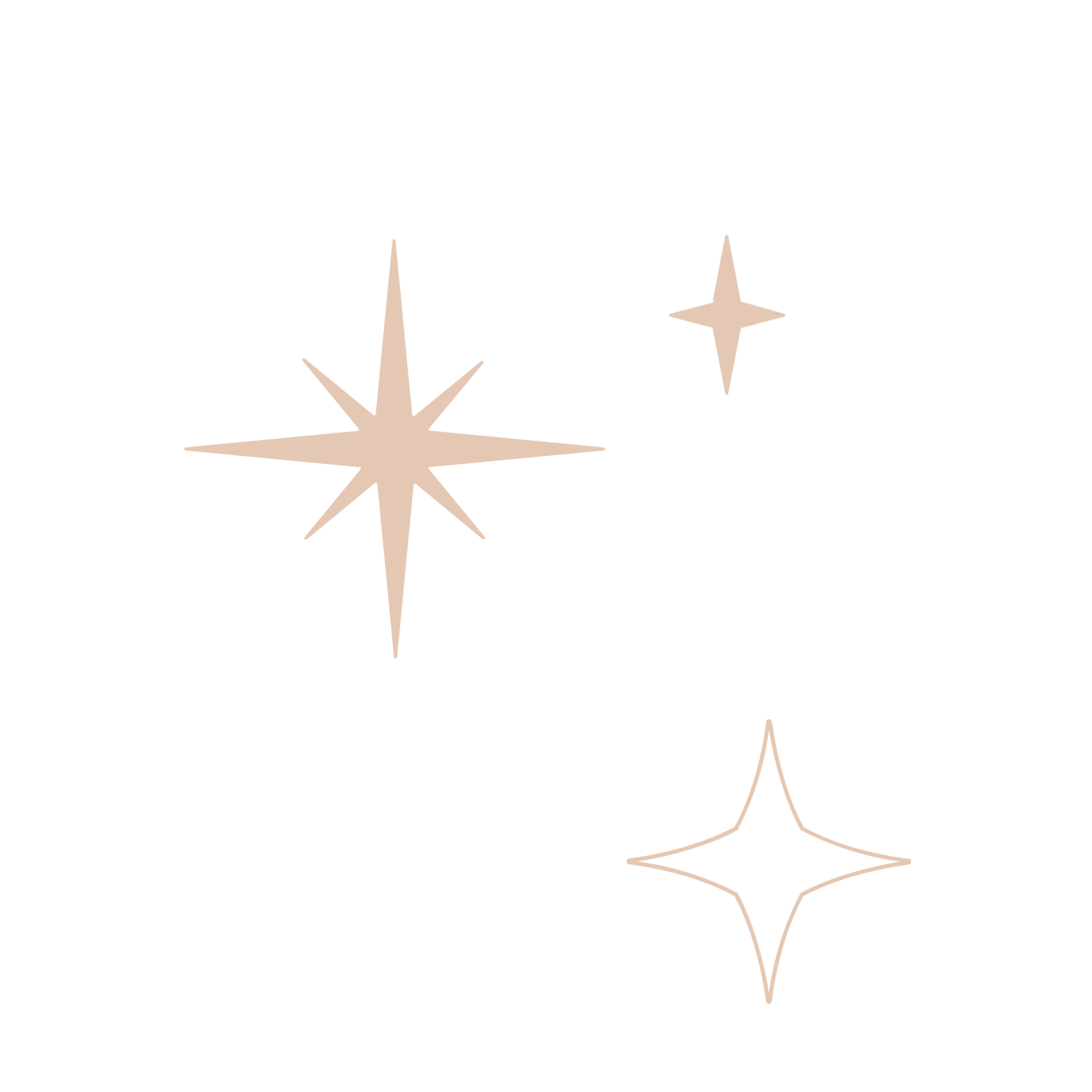 Edinburgh Weddings Gallery ALIJAY edinburgh-weddings-gallery-alijay