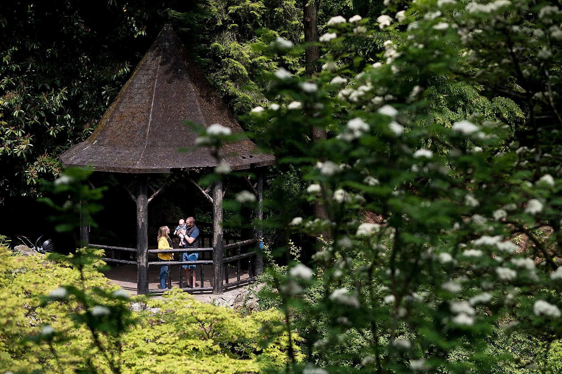 Family Photoshoot In Pittencrieff Park Dunfermline