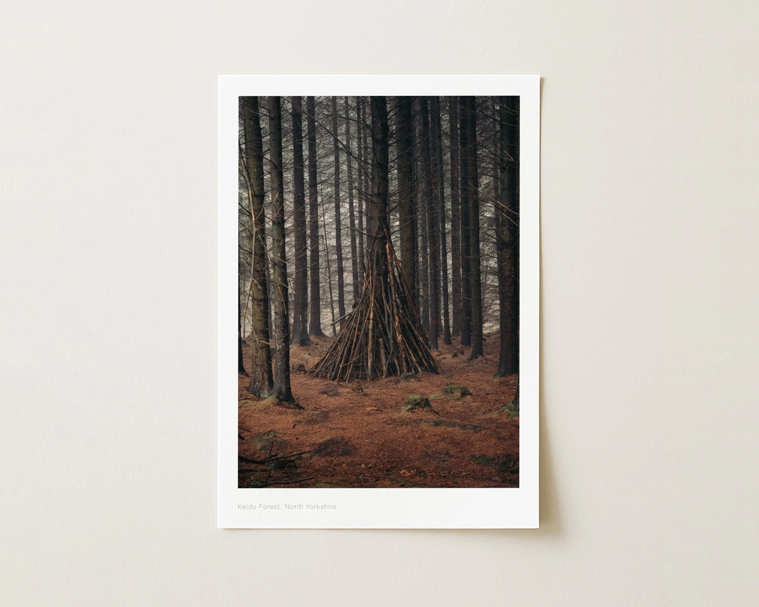 Keldy Forest, North Yorkshire