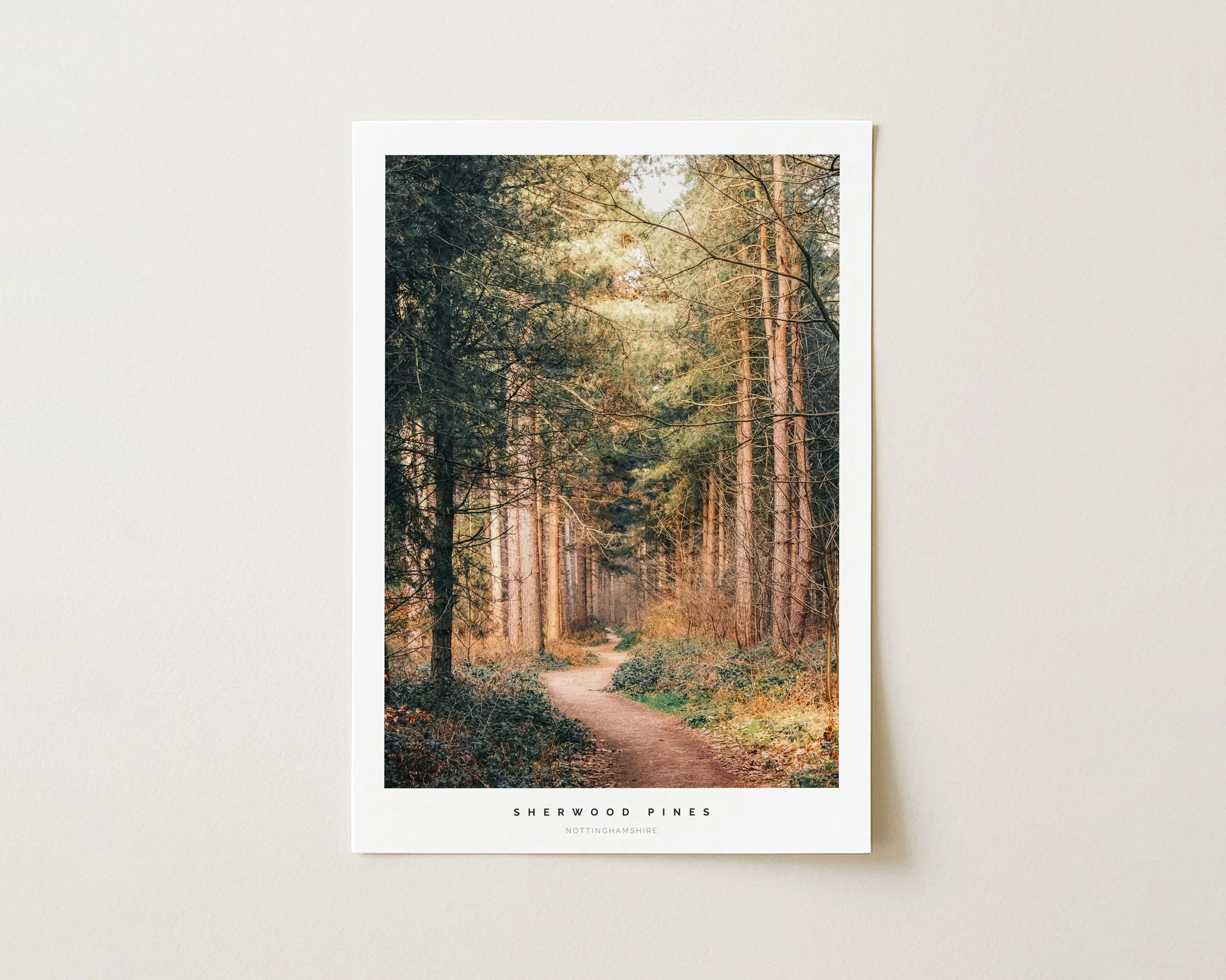 Sherwood Pines, Nottinghamshire