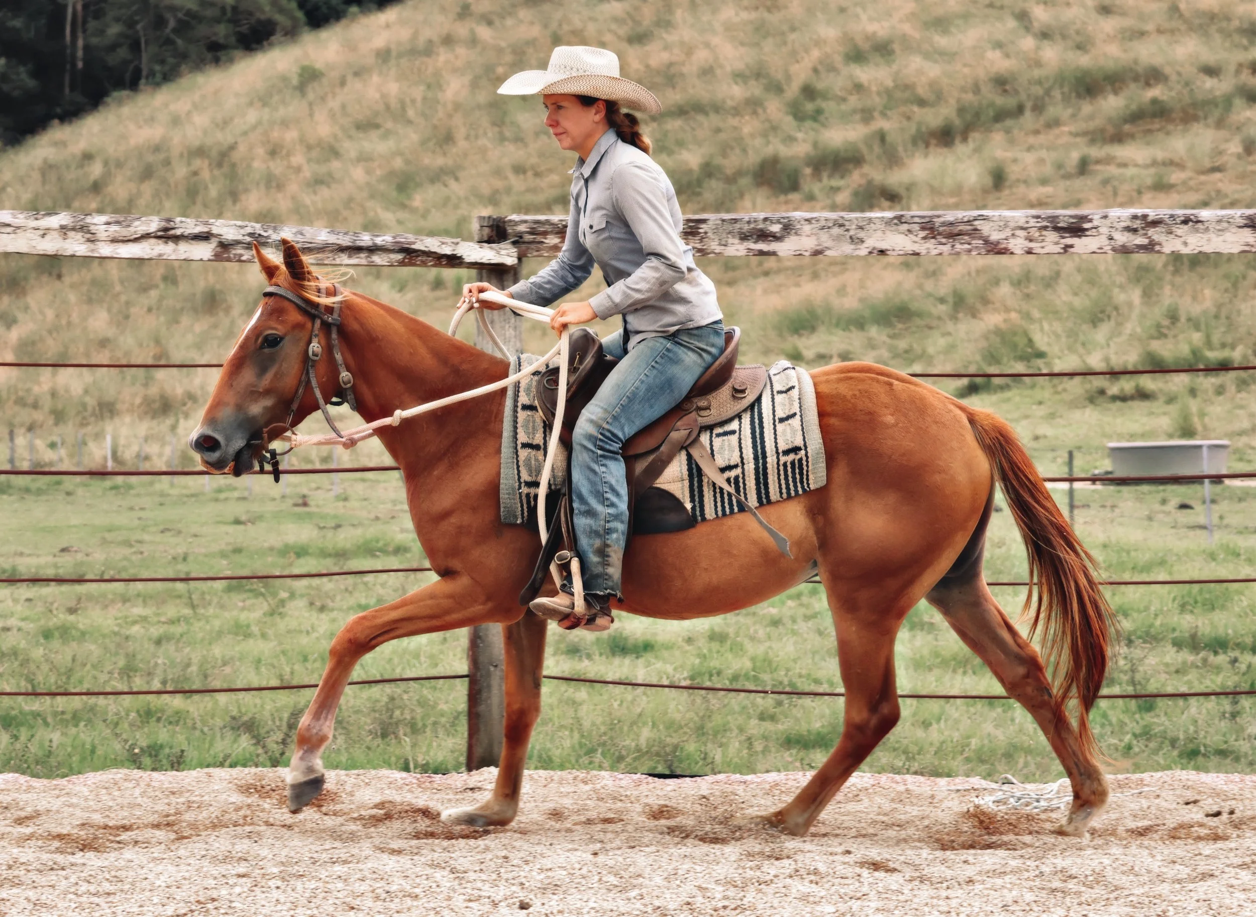 9D357358-C6B5-4805-9BE3-791EEEC2AA66_COLOURTONE 2.jpeg