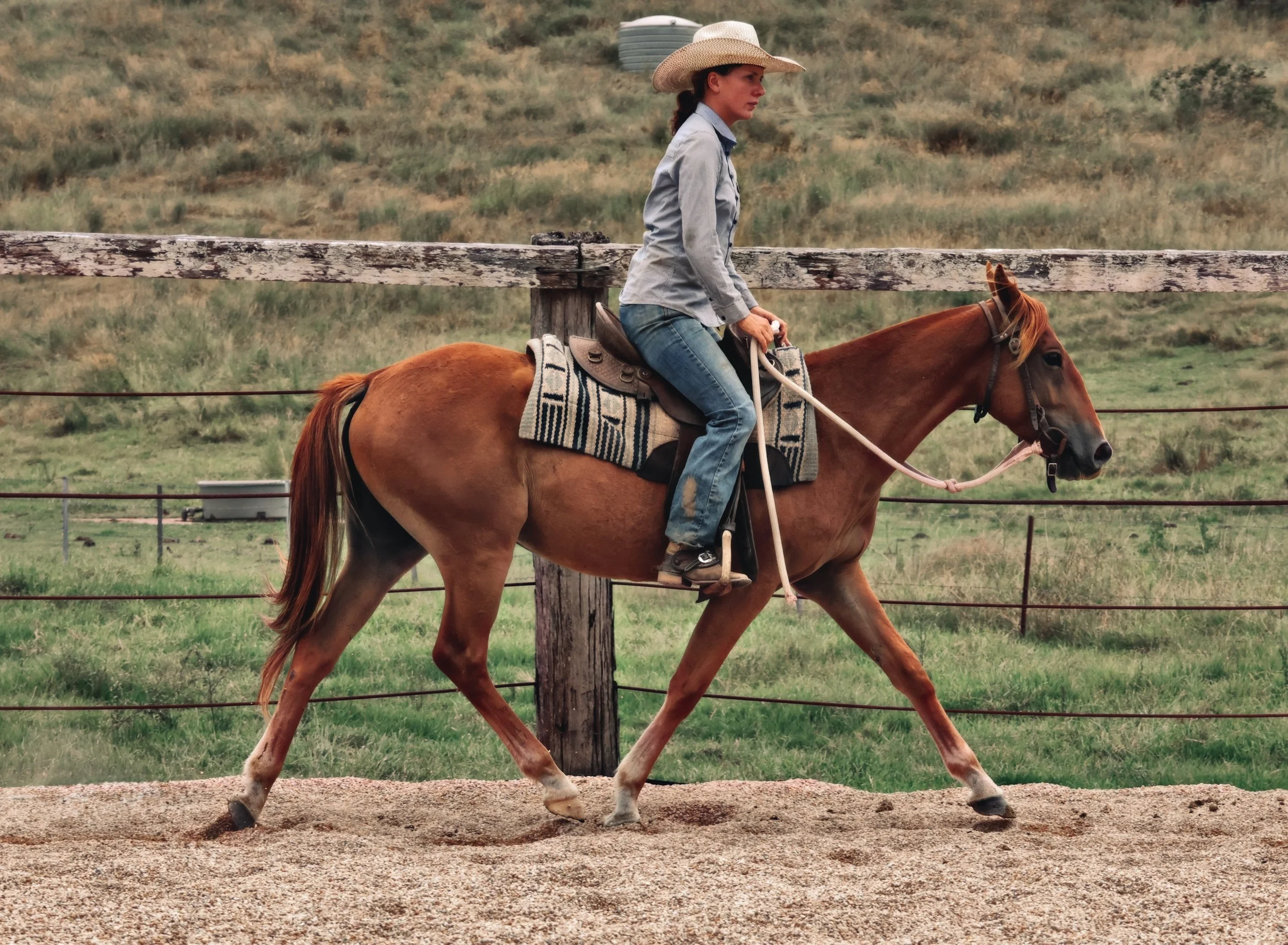 D54D8ECA-3447-4876-BFB2-5B31EA3EAB99_COLOURTONE 2.jpeg