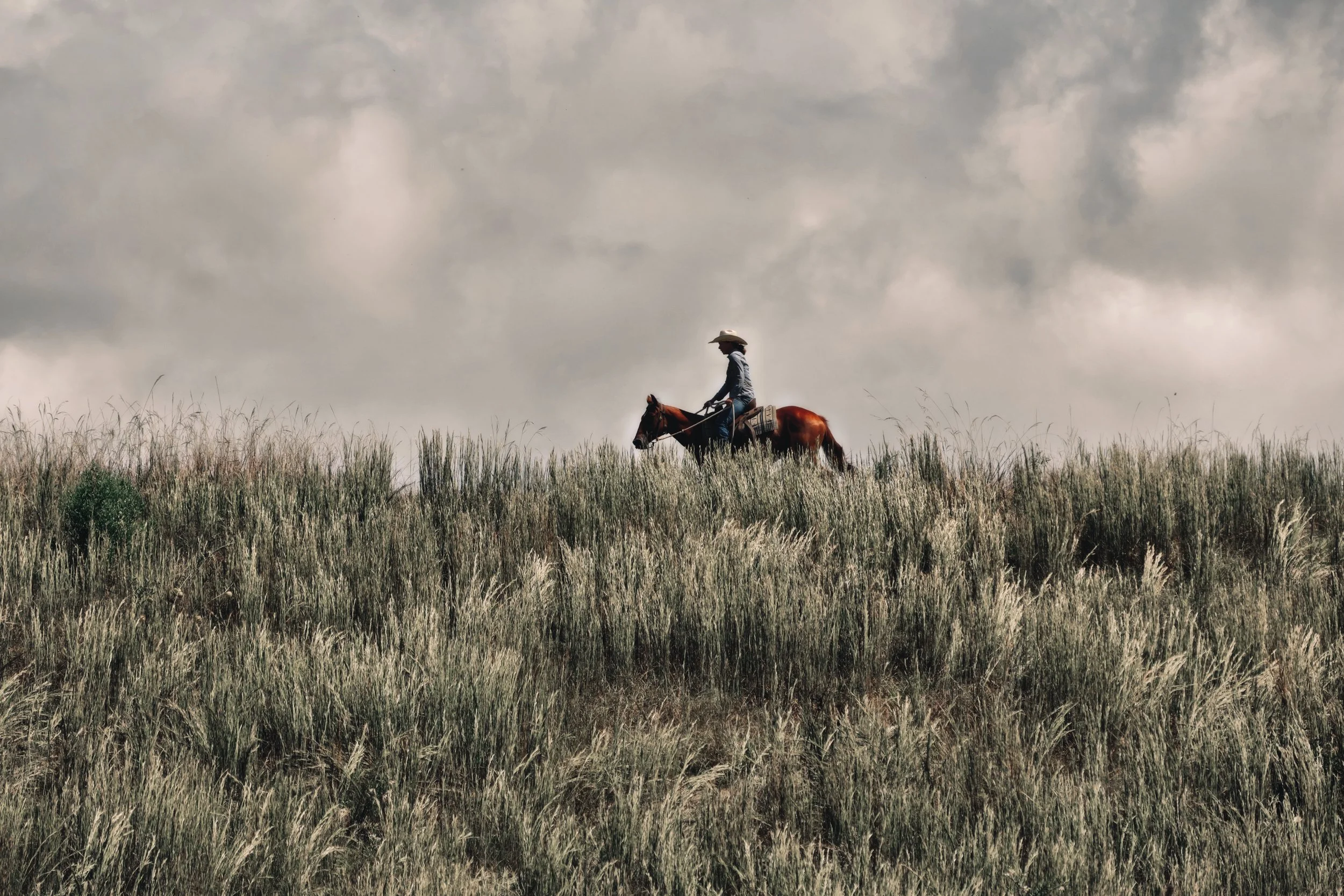 854099F5-EF8A-4260-B72B-F3225075A307_COLOURTONE 2.jpeg