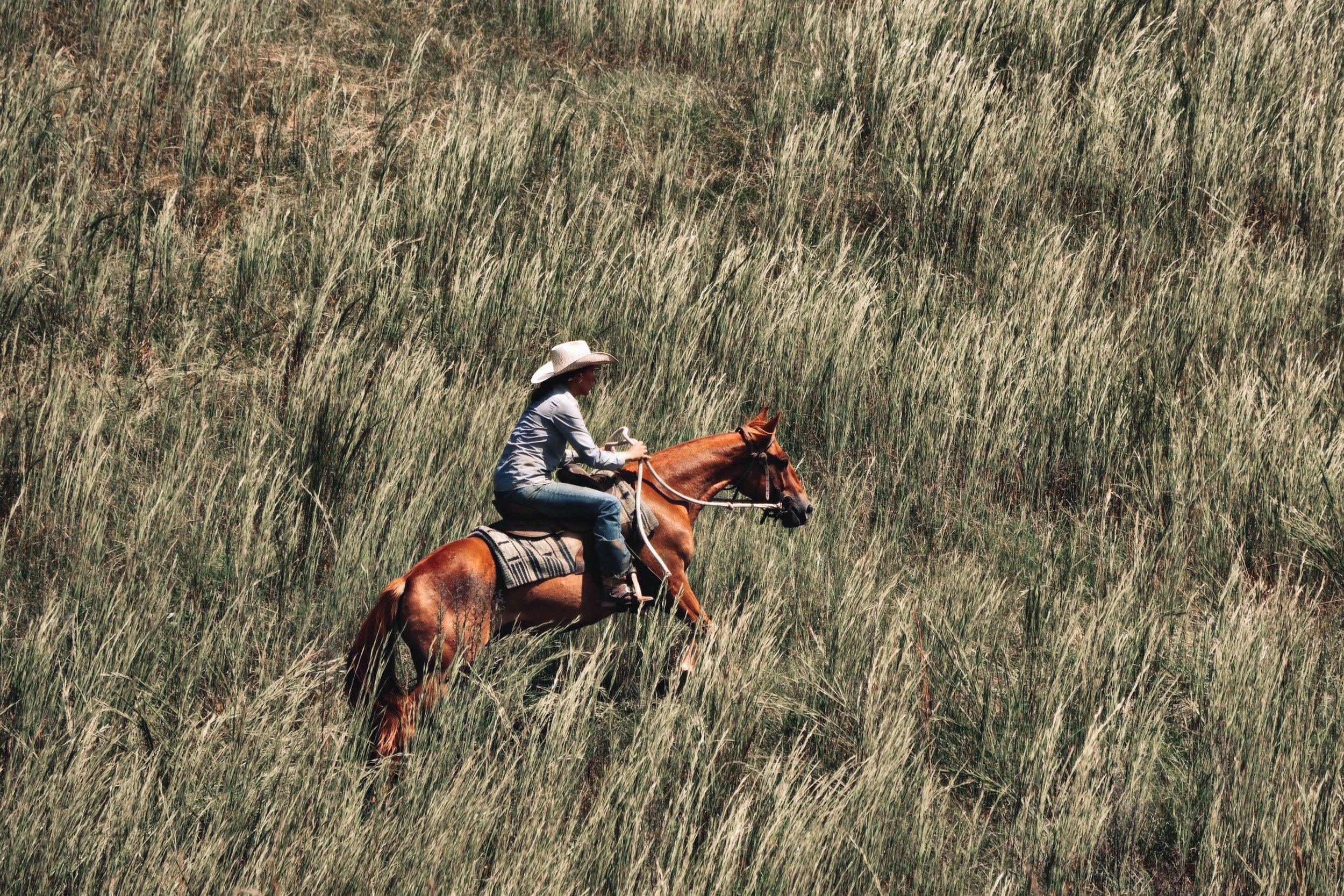 728B13AE-18EC-4388-AF1A-BB721FE83804_COLOURTONE 2.jpeg