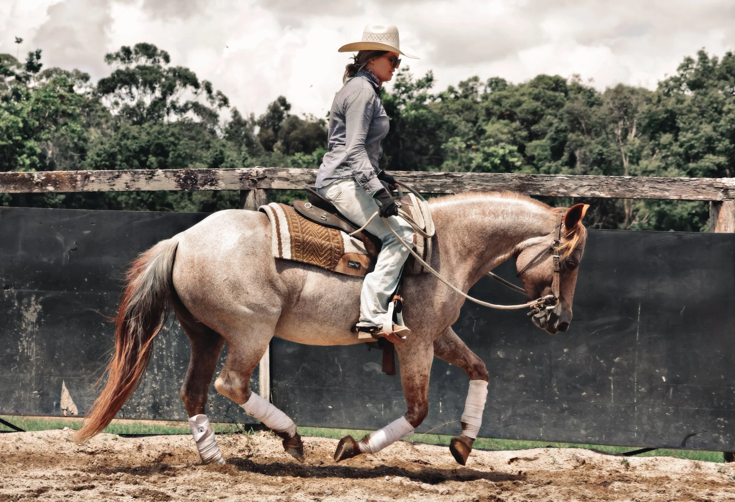 37D3D8B9-04B6-48D6-A787-9234D4979169_COLOURTONE 2 2.jpeg