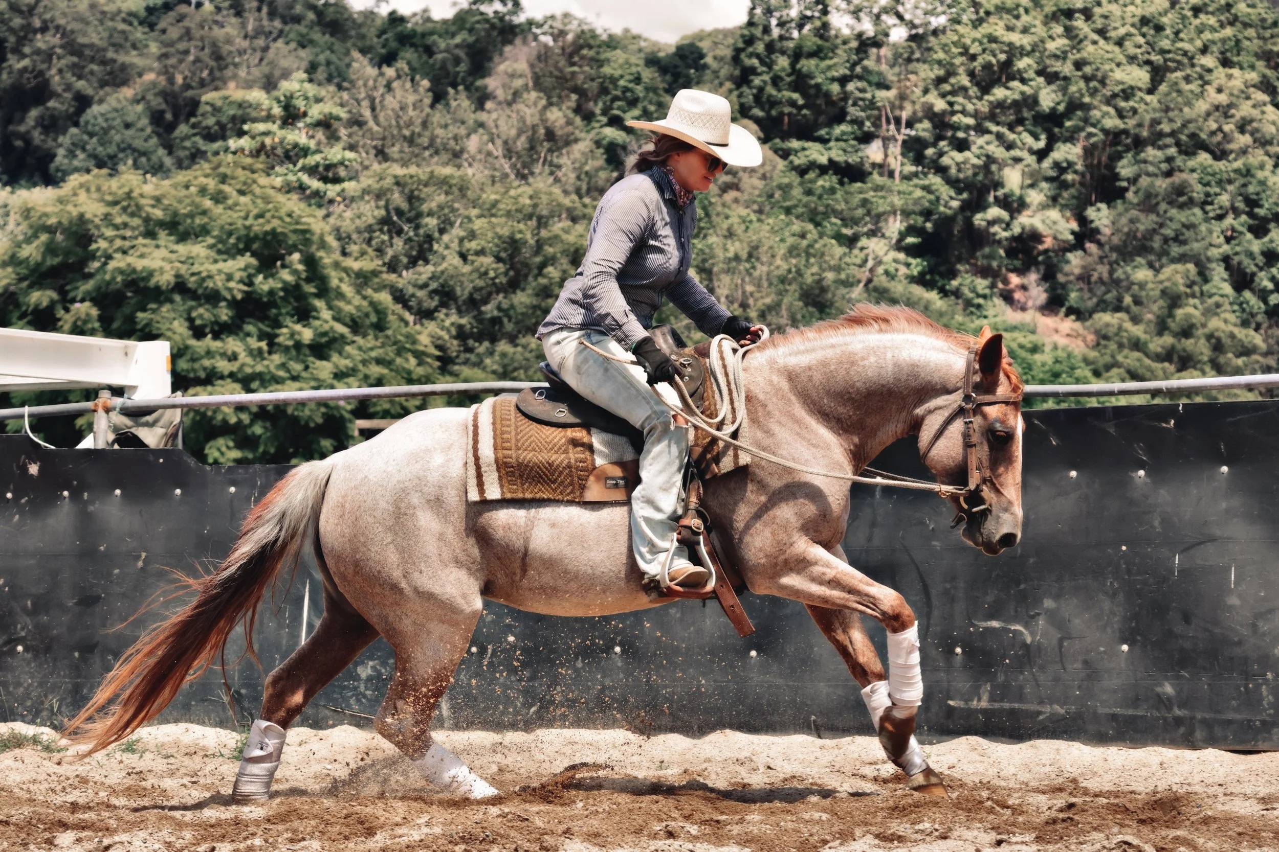 EFCCB255-2B84-498B-A178-0101EB8A5A30_COLOURTONE 2 2.jpeg