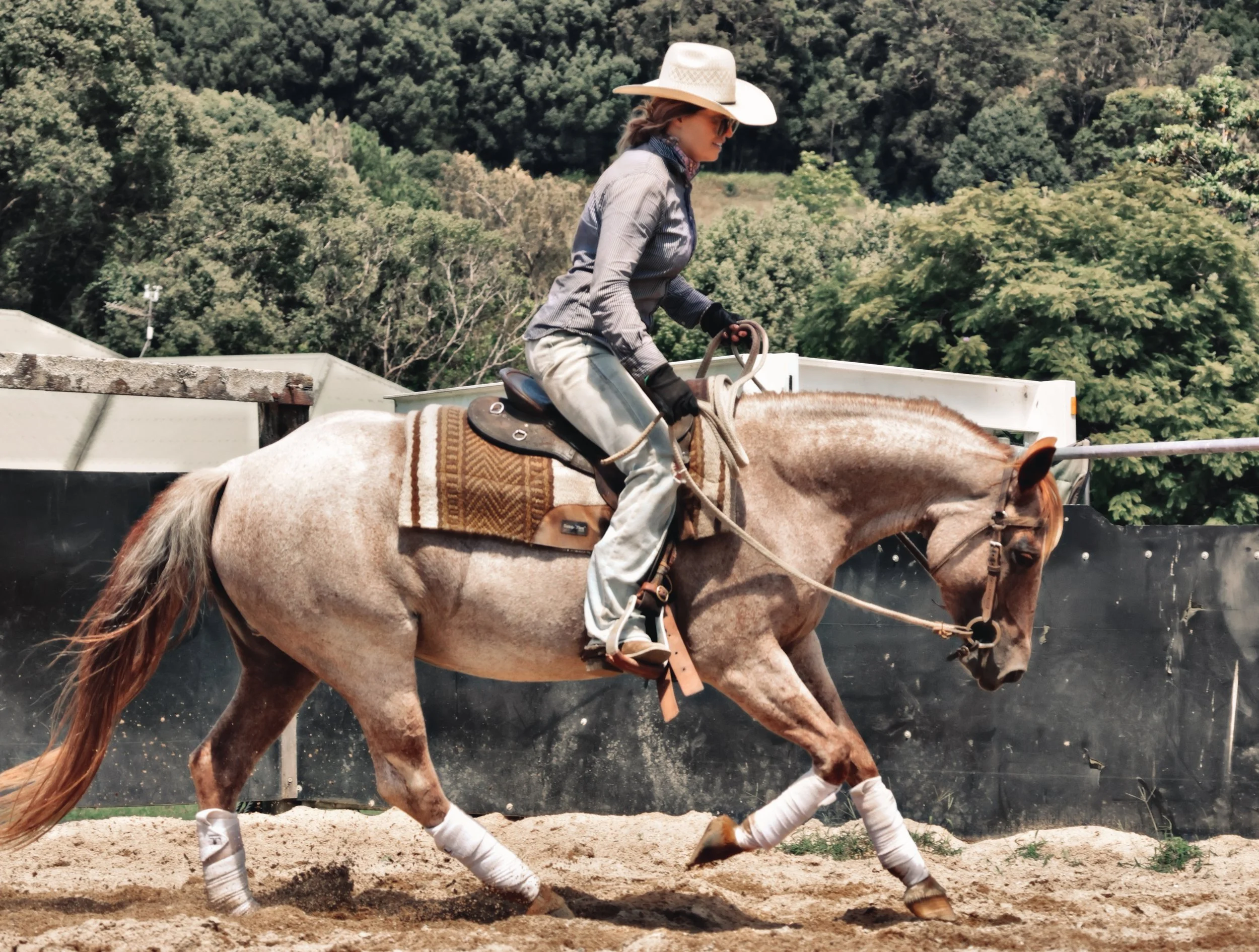 25A24AF1-859B-4642-A926-92ABDF9F01D1_COLOURTONE 2 2.jpeg