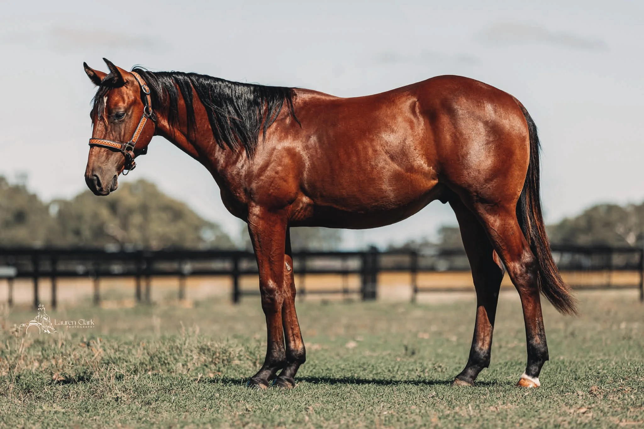 att.KqxMiG-bXhBV1NFz_RXnoFtRFf7zV9x8lMF_iB_Tcx4_COLOURTONE 2.JPEG