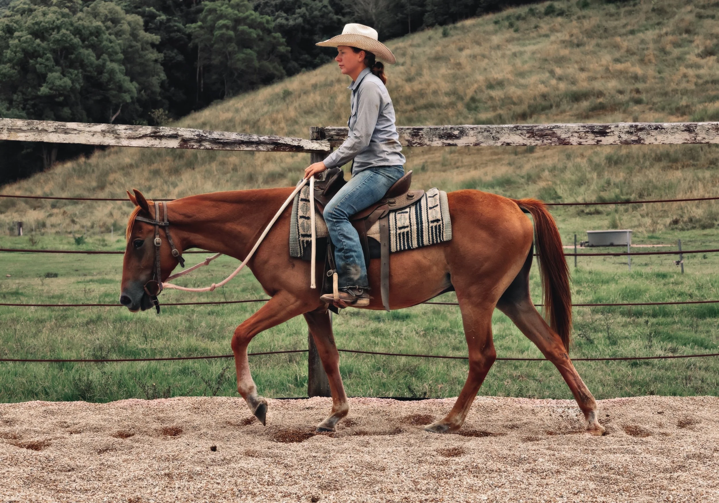 DA6BA700-1024-4FCE-95A3-95244709D3F5_COLOURTONE 2.jpeg