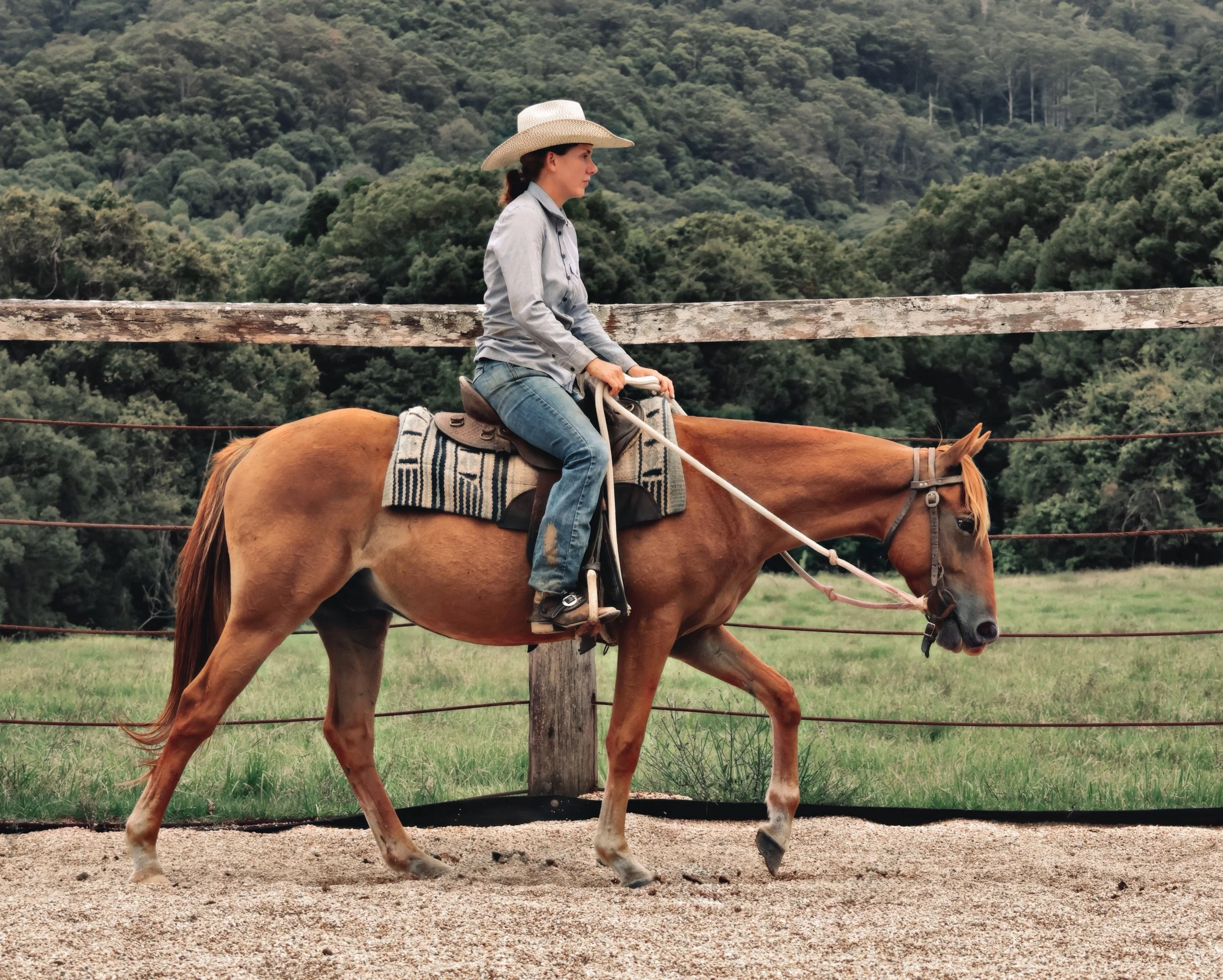 D0E43CC4-1CF1-4335-9861-236736C32341_COLOURTONE 2.jpeg