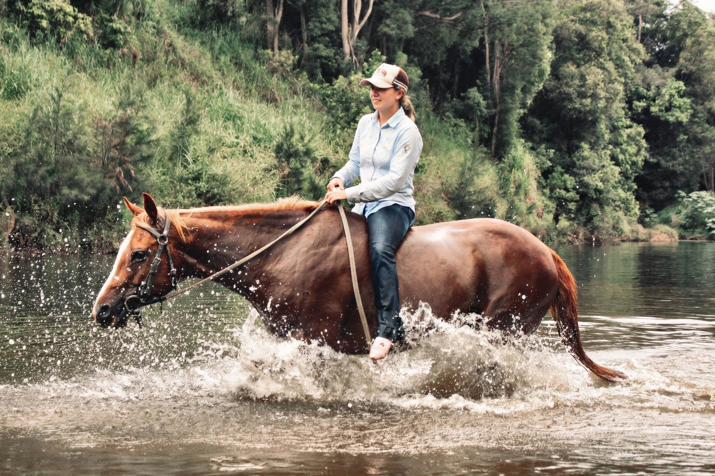 13840178-4AEF-45C0-A74A-81BFF4215294_COLOURTONE 2.jpeg