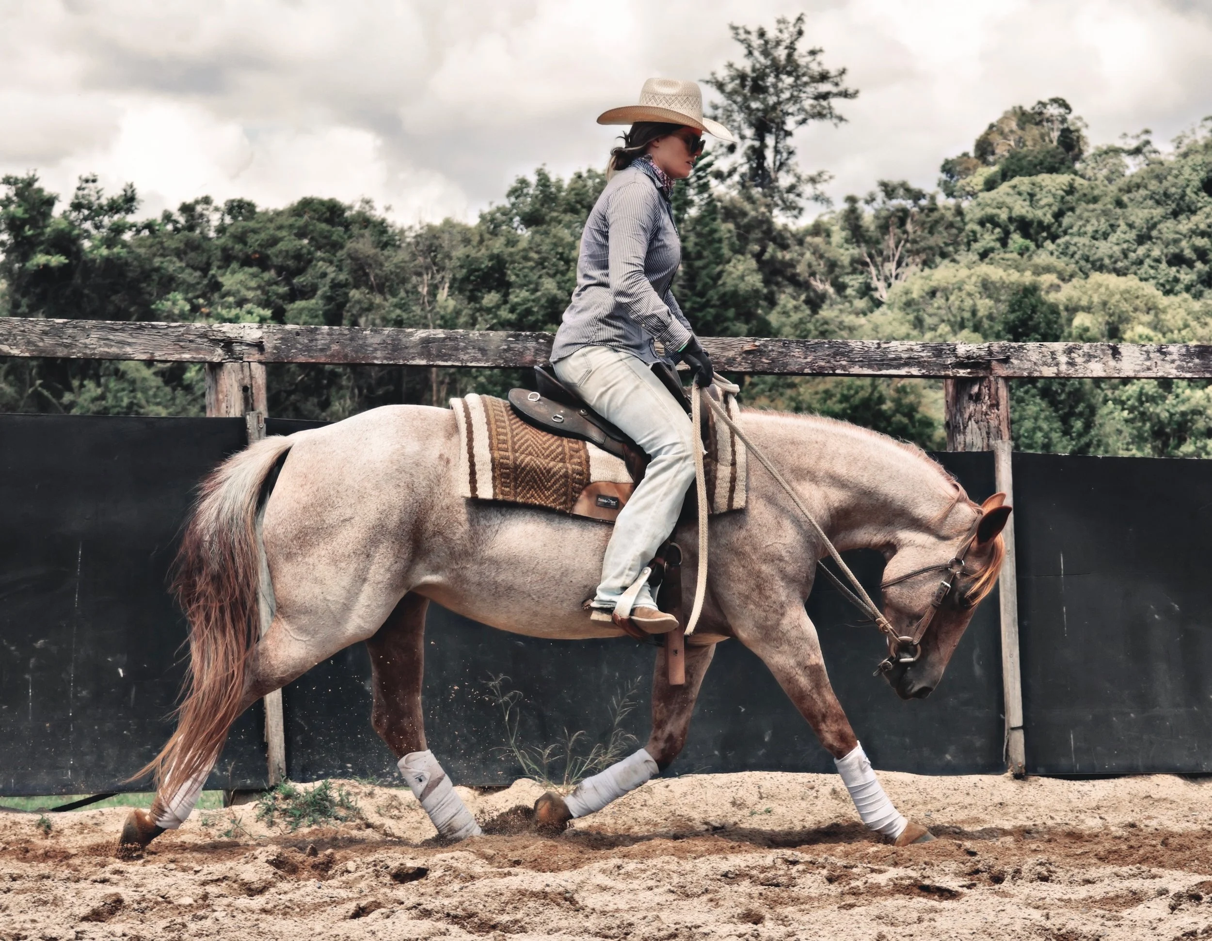 0ECA934C-3699-448F-BCB5-D0CAD7D5A0AE_COLOURTONE 2.jpeg