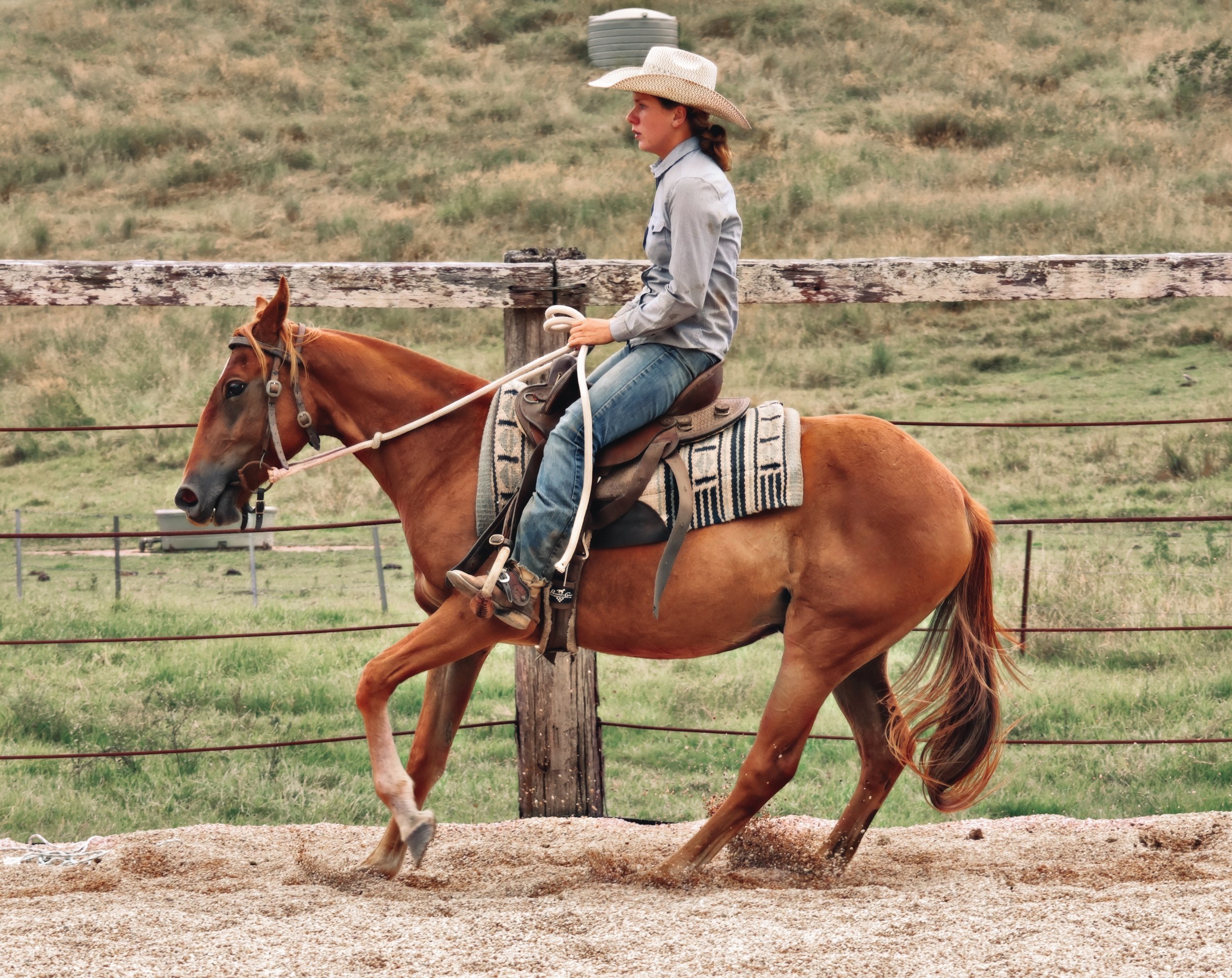 F9931BAF-03F2-4342-8D3F-B4B4746F4ECC_COLOURTONE 2.jpeg