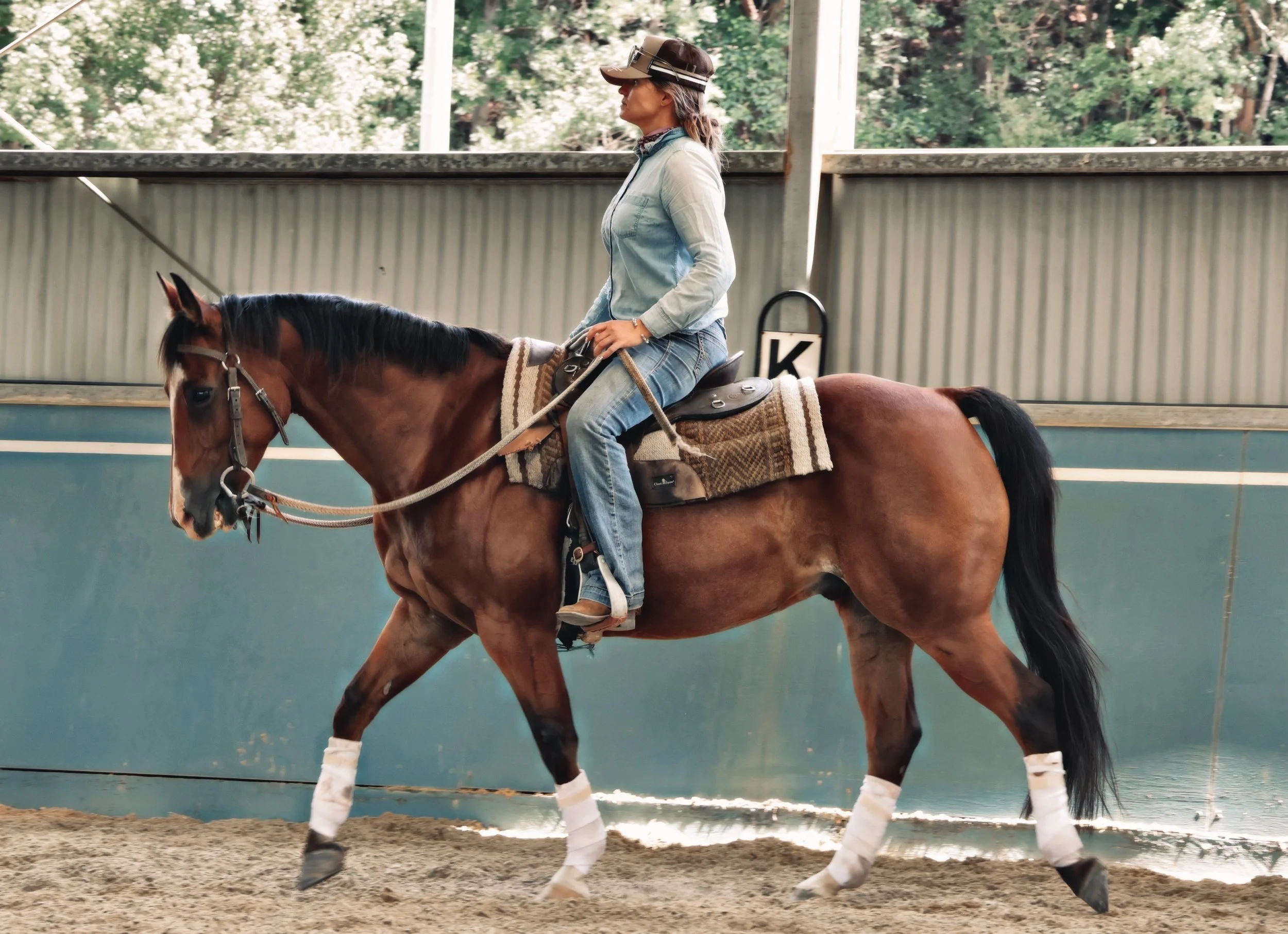 D99541A2-A26F-43F1-9967-24979CCFDE72_COLOURTONE 2.jpeg