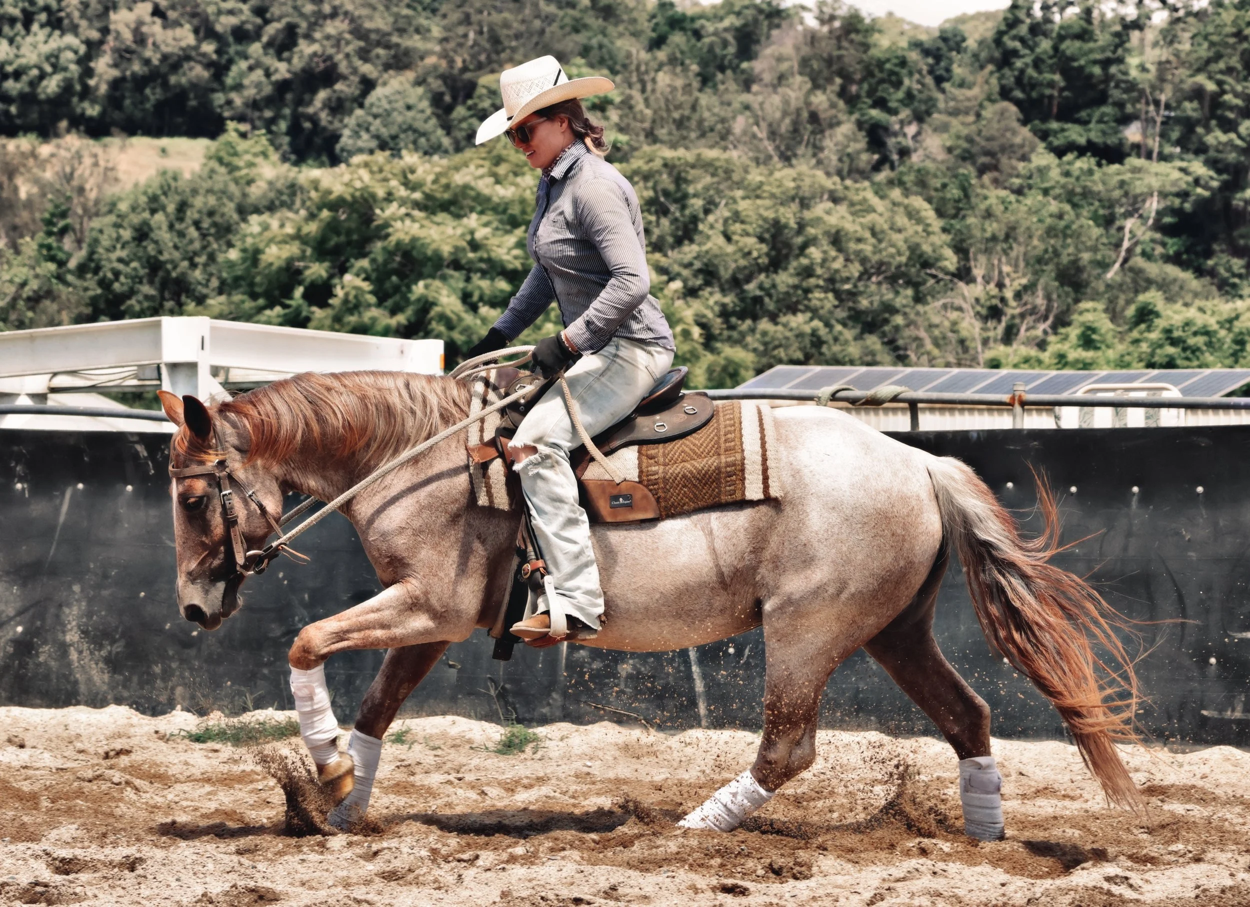 B8654D36-8AF7-4159-8139-828C05CE1C2A_COLOURTONE 2 2.jpeg