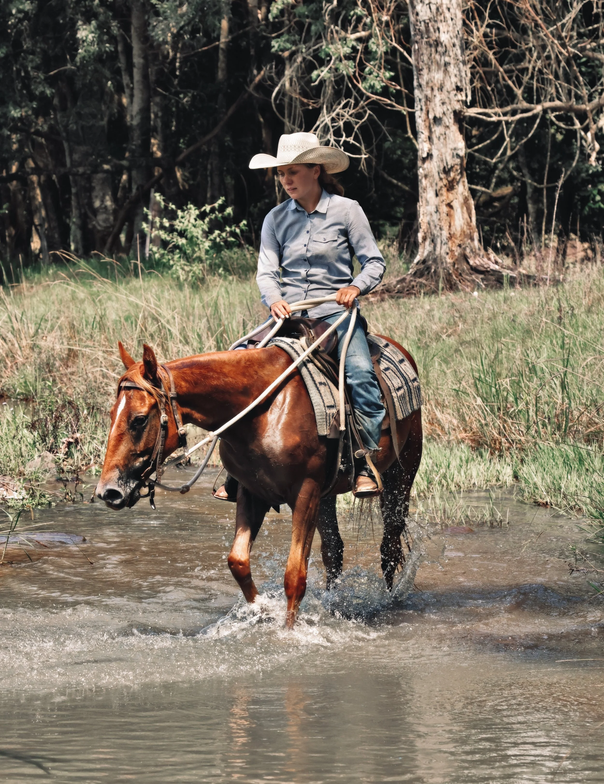 20E65BCE-FE8E-488A-B375-B512C6CC4A19_COLOURTONE 2.jpeg