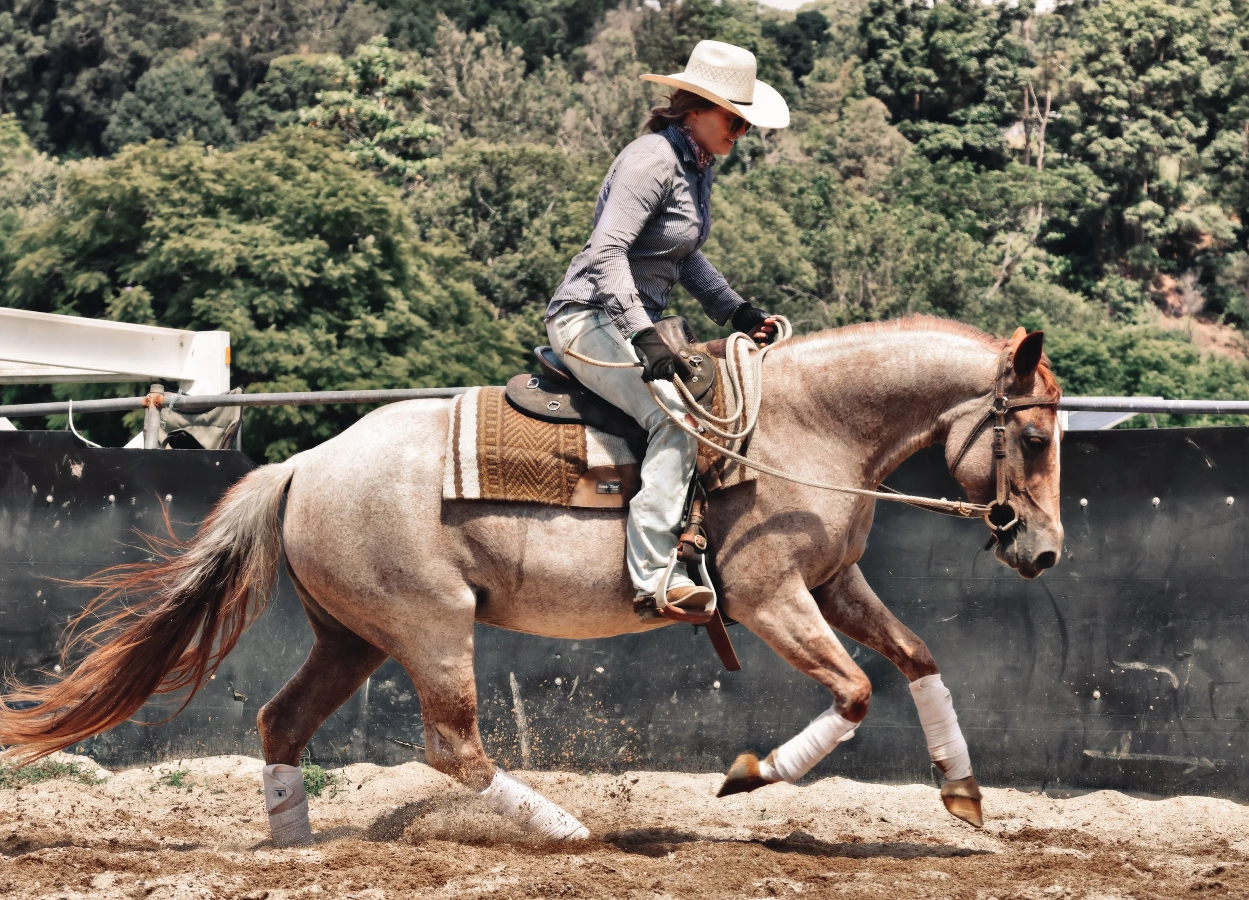 2FA42448-2B98-4B0C-A41E-B423226604B7_COLOURTONE 2 2.jpeg