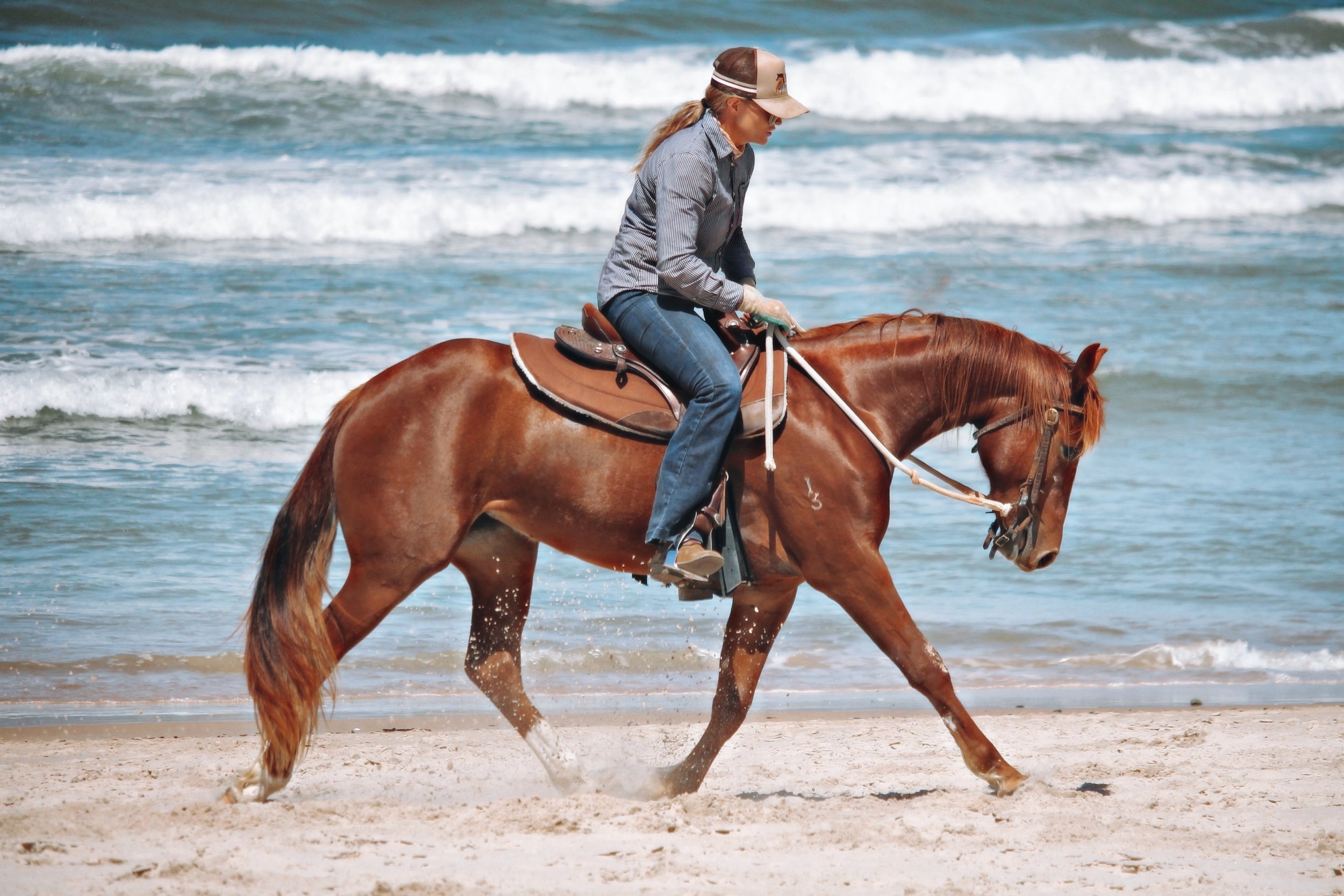 52C618E7-252D-4EB3-AC21-1BF005536739_COLOURTONE 2.jpeg