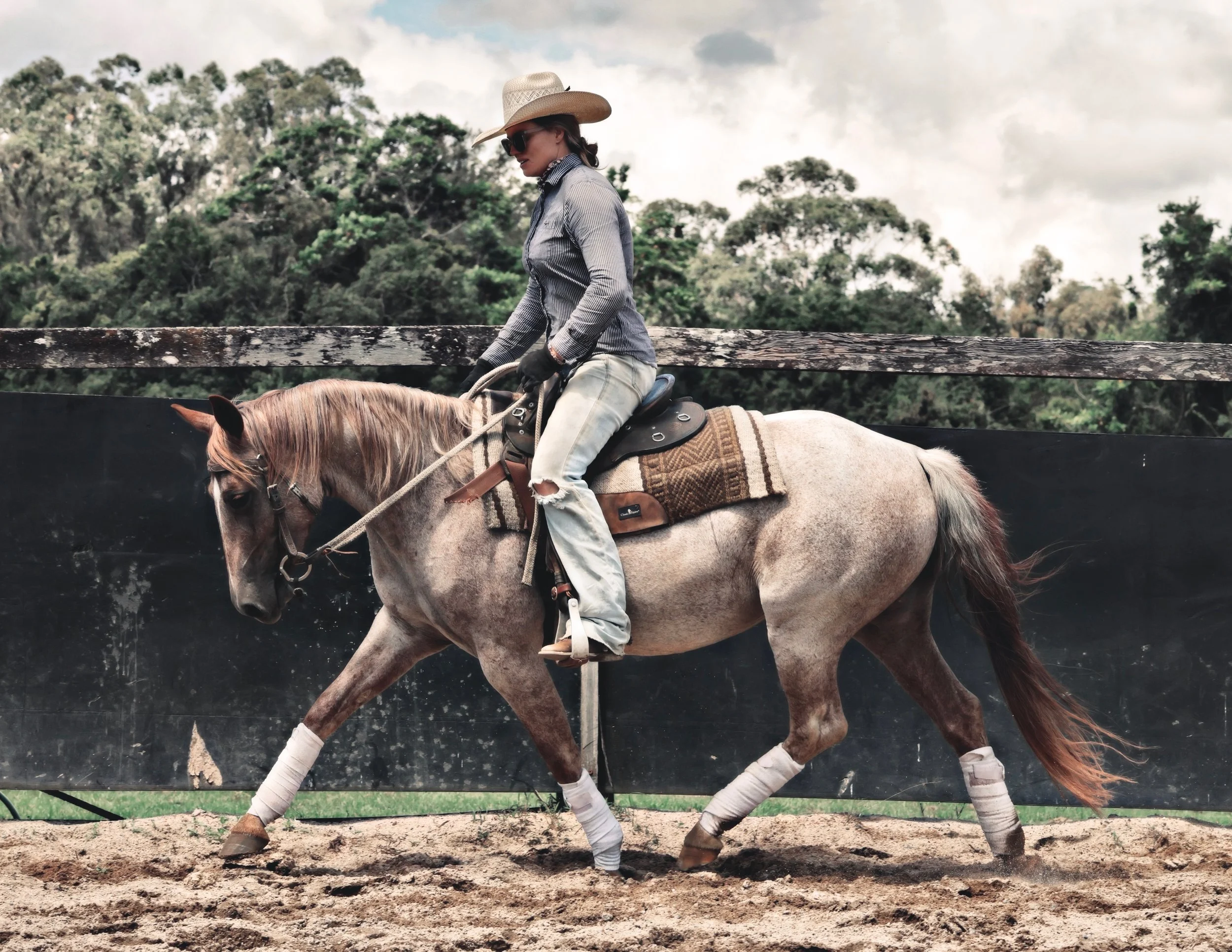 CC5CCC13-9C80-4E63-BF45-A8019B90870A_COLOURTONE 2.jpeg