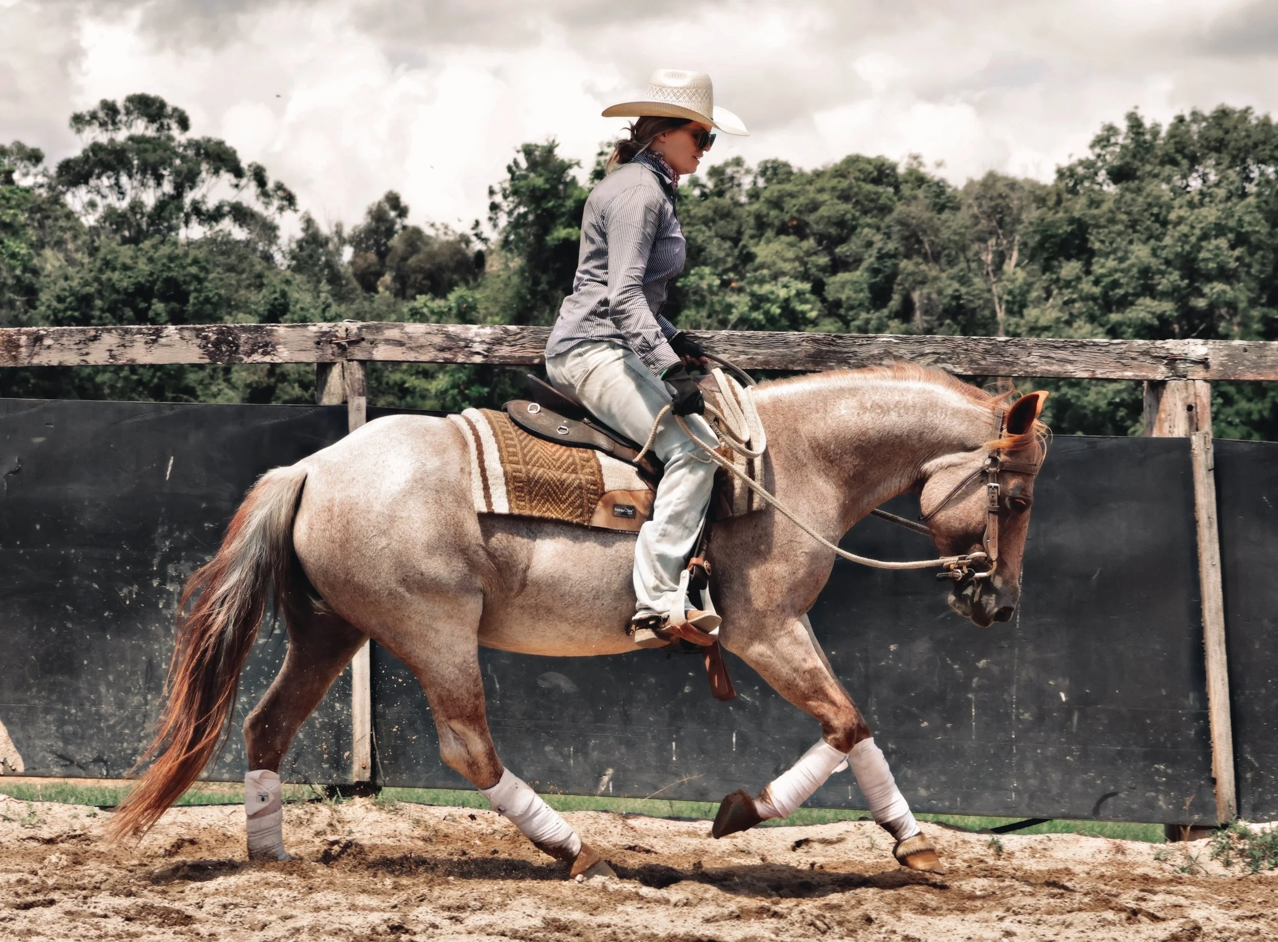 B49A68F4-686A-465F-A594-A6D076869693_COLOURTONE 2 2.jpeg