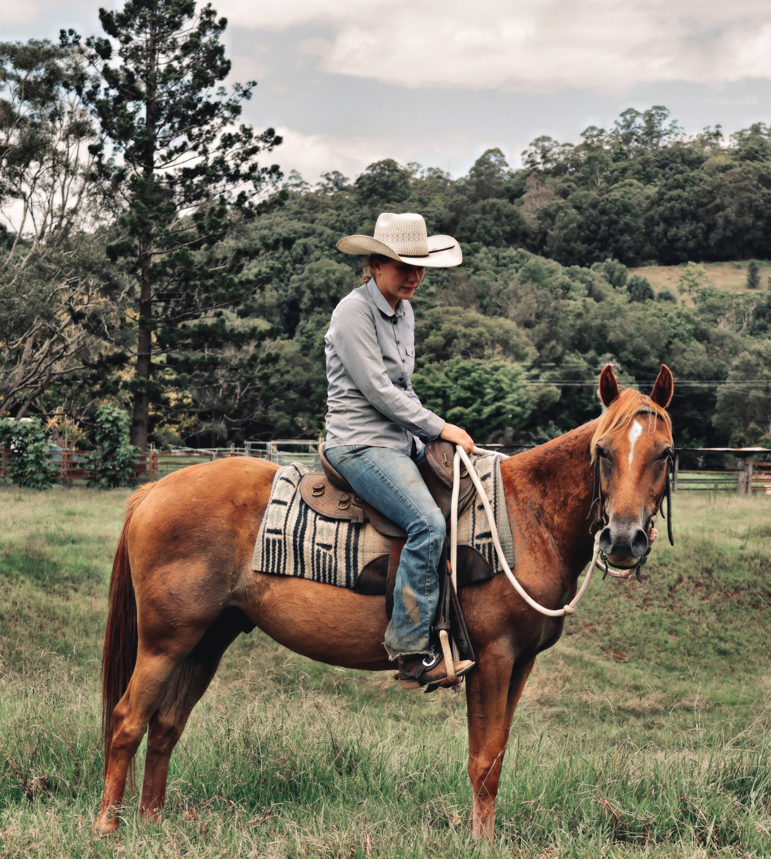 1409418F-0417-4748-AFCF-50782E67DBE3_COLOURTONE 2.jpeg