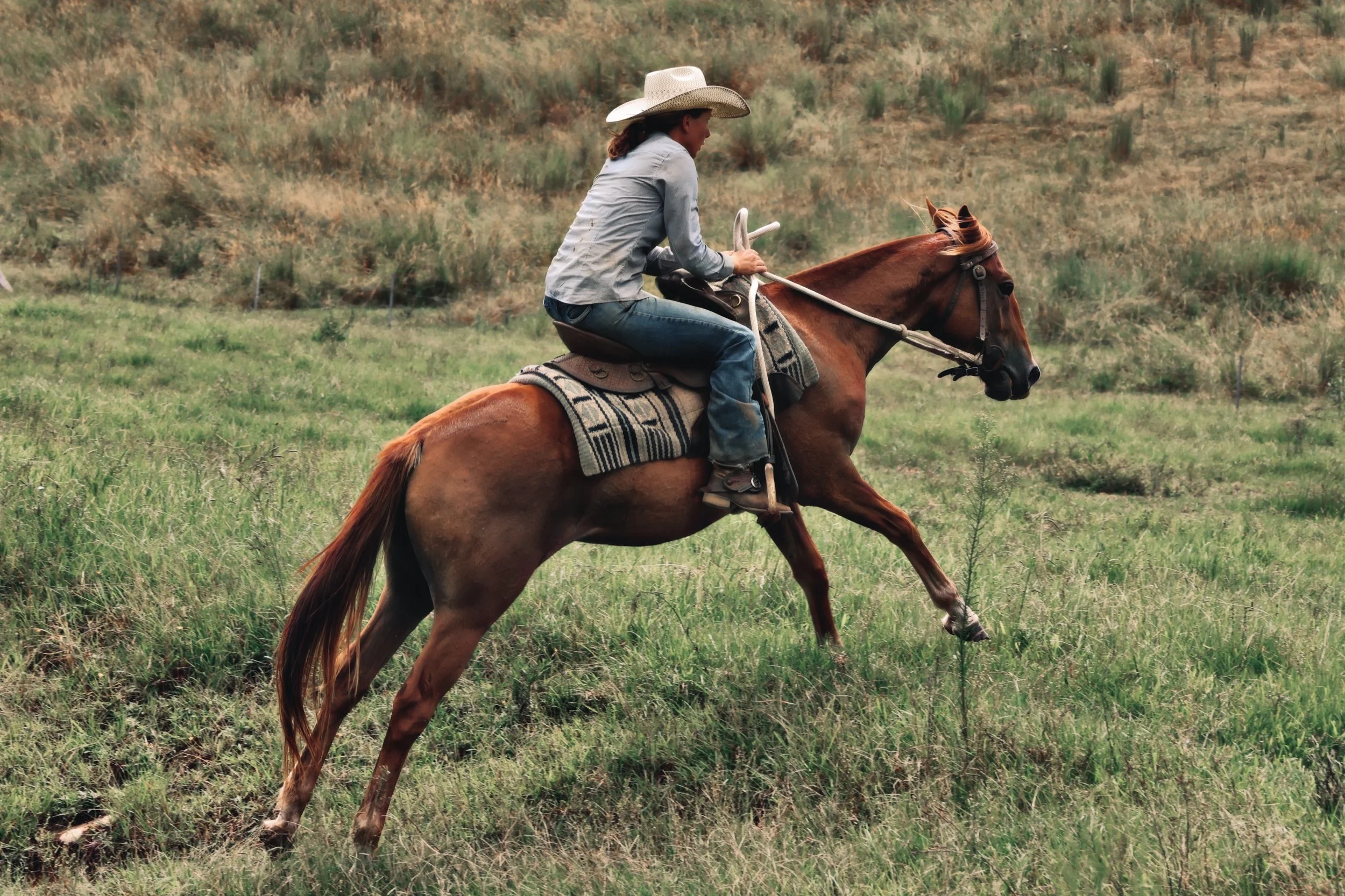 92B932CD-4A5C-4B63-BFBB-EB1C13B582FF_COLOURTONE 2.jpeg