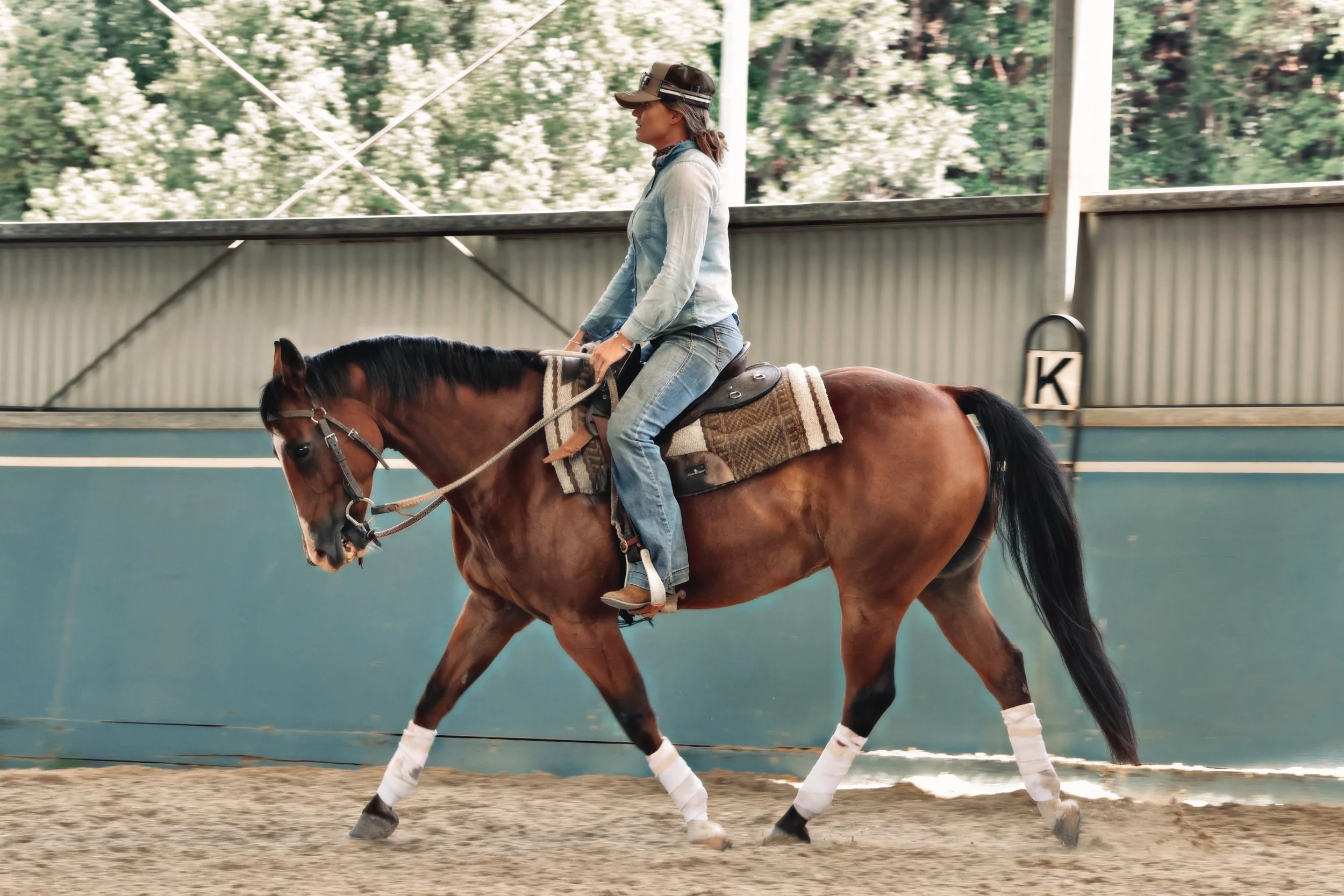 B033945D-F052-463C-BAEC-D0C865CEDAEC_COLOURTONE 2.jpeg