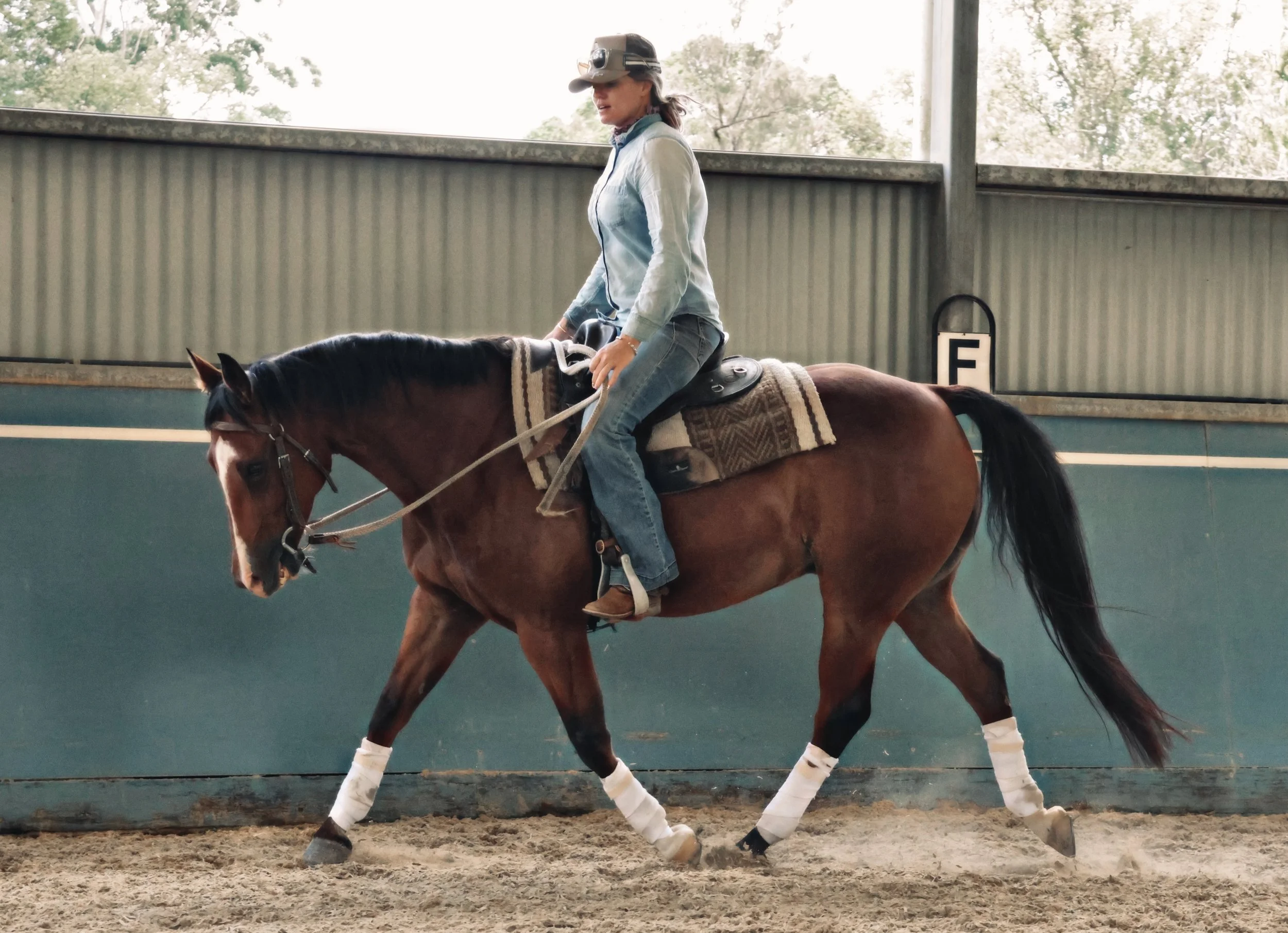 19CDC59A-2EF3-45F8-A8E8-2E61C516DBF8_COLOURTONE 2.jpeg