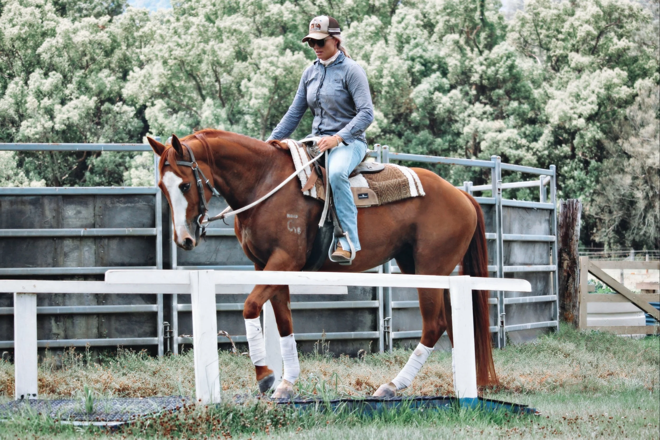 71E54246-D9E8-416C-822D-E78B75CADEA5 2.jpeg