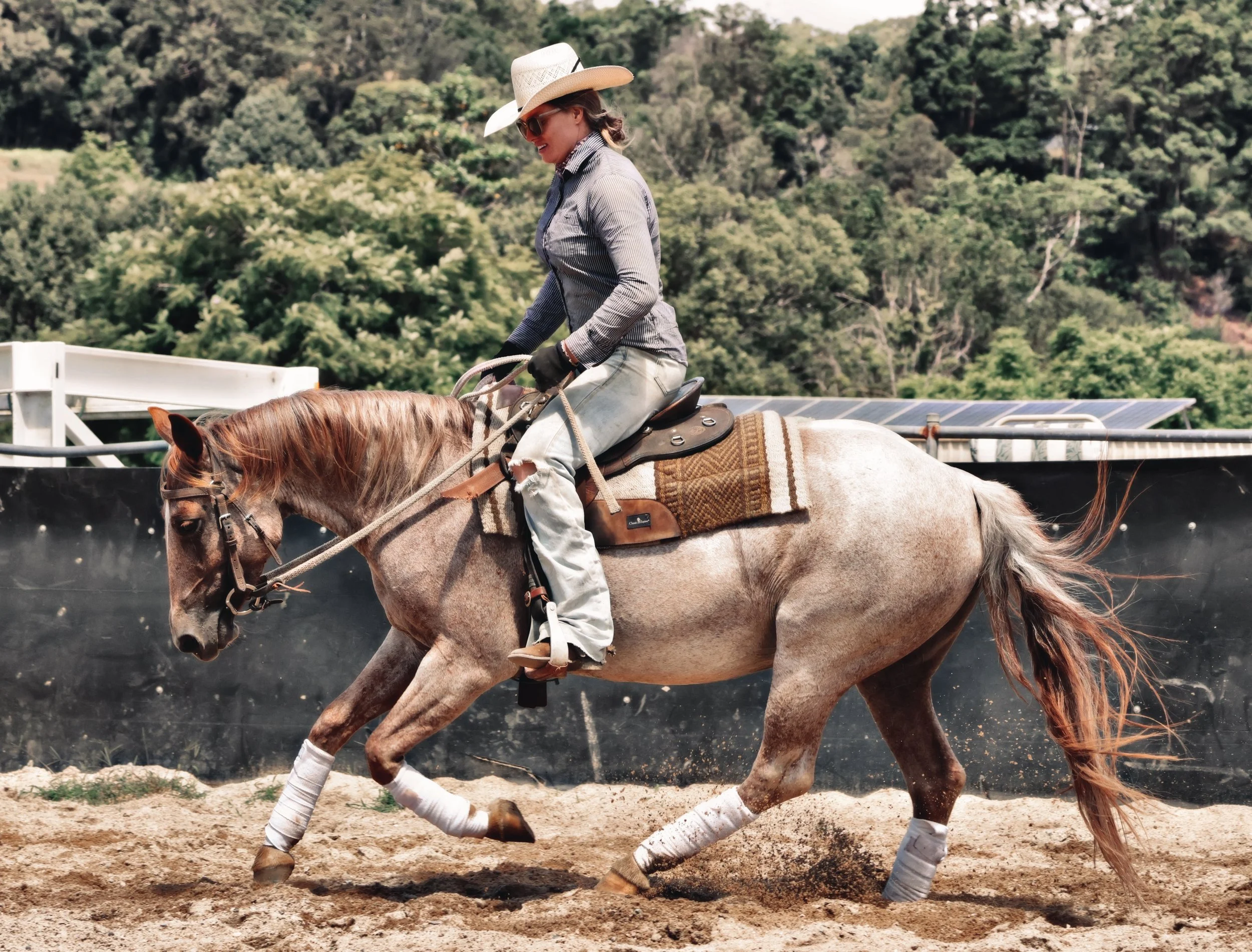 7BF2E367-9CE2-49D5-873C-323FE7DBF80C_COLOURTONE 2 2.jpeg