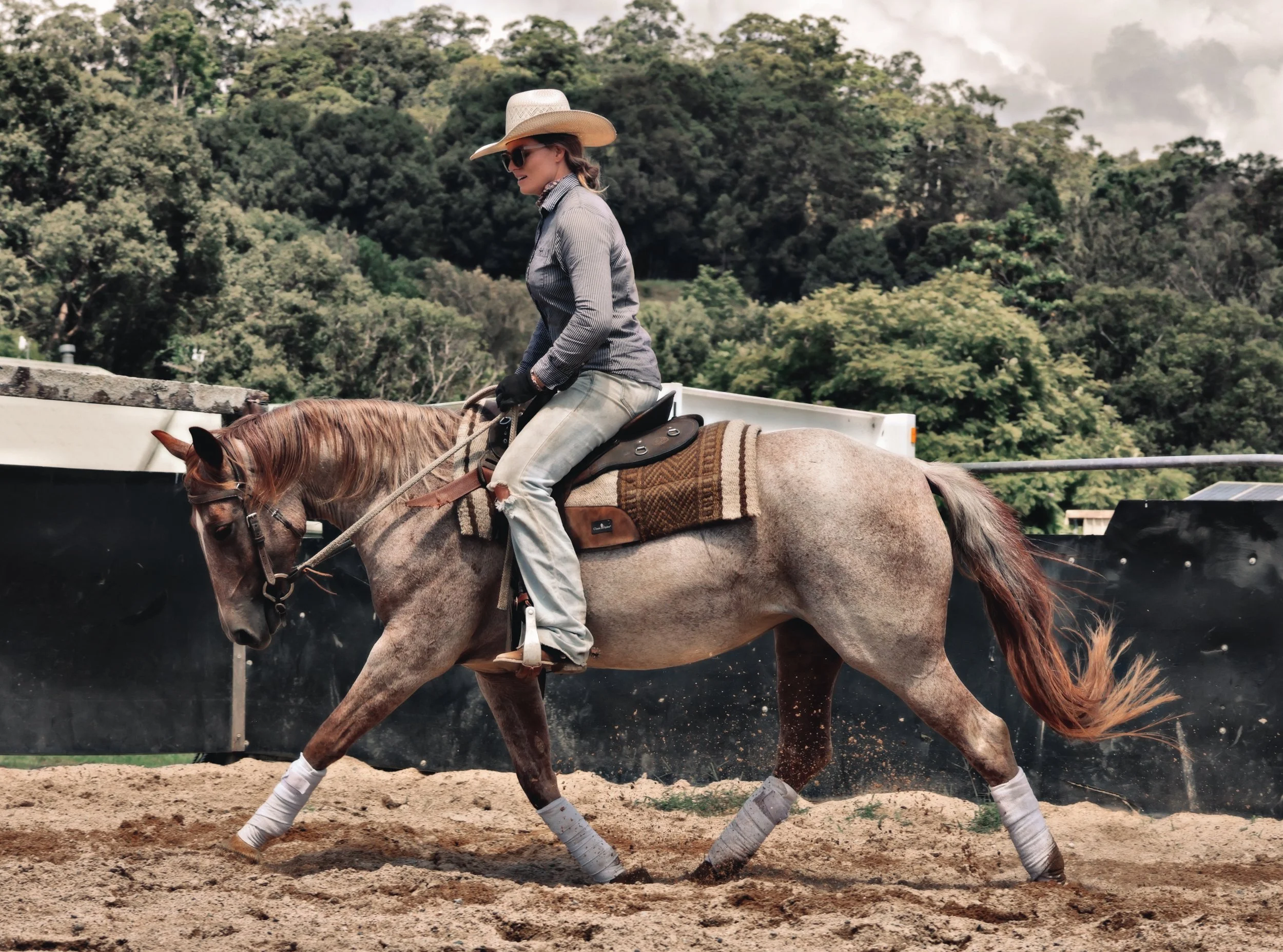 1B43766D-CBC8-49C7-A23C-88A9824C260C_COLOURTONE 2 2.jpeg