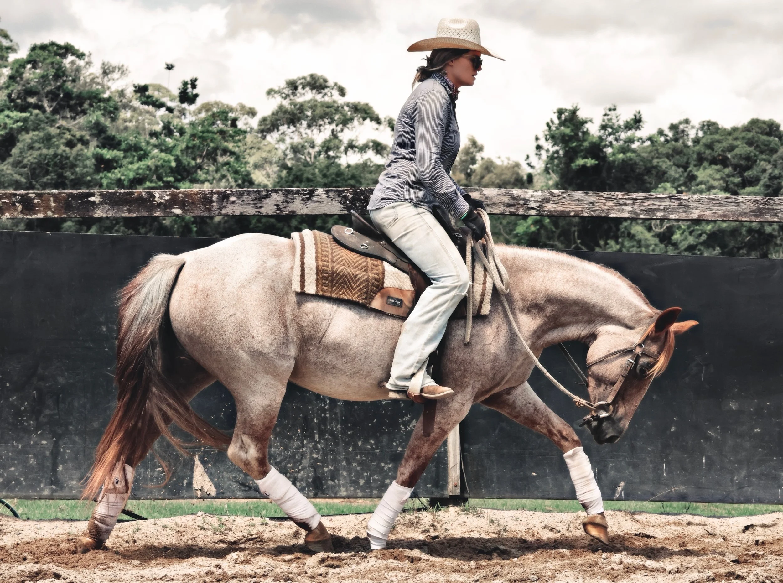 96B810CD-05A0-41C6-9A88-D98B5F0DB4D4_COLOURTONE 2.jpeg