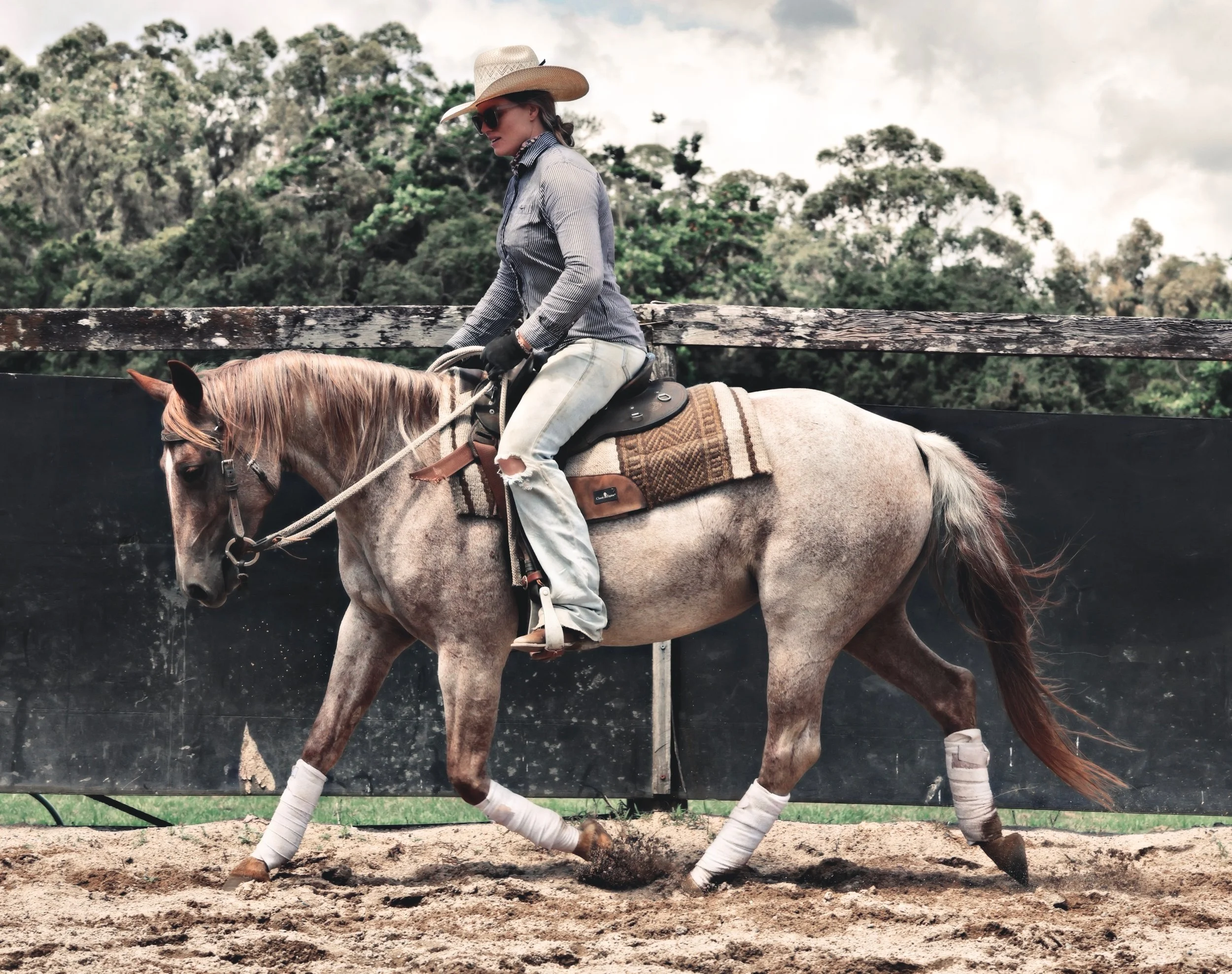 17A4C2E9-981C-4D30-B4BA-82C1282D939F_COLOURTONE 2.jpeg