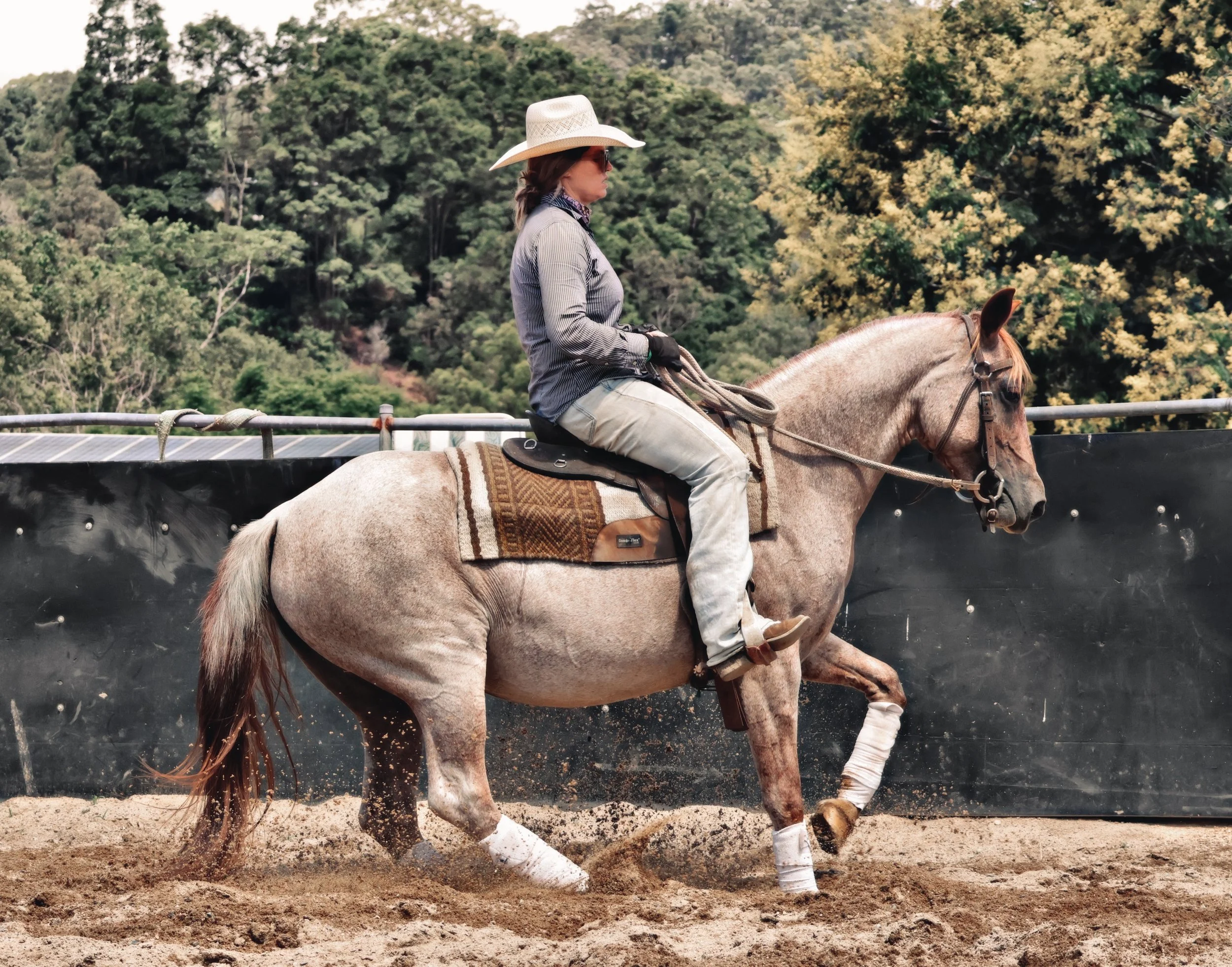 276BE342-E69D-473C-8033-C632BC182BC7_COLOURTONE 2 2.jpeg