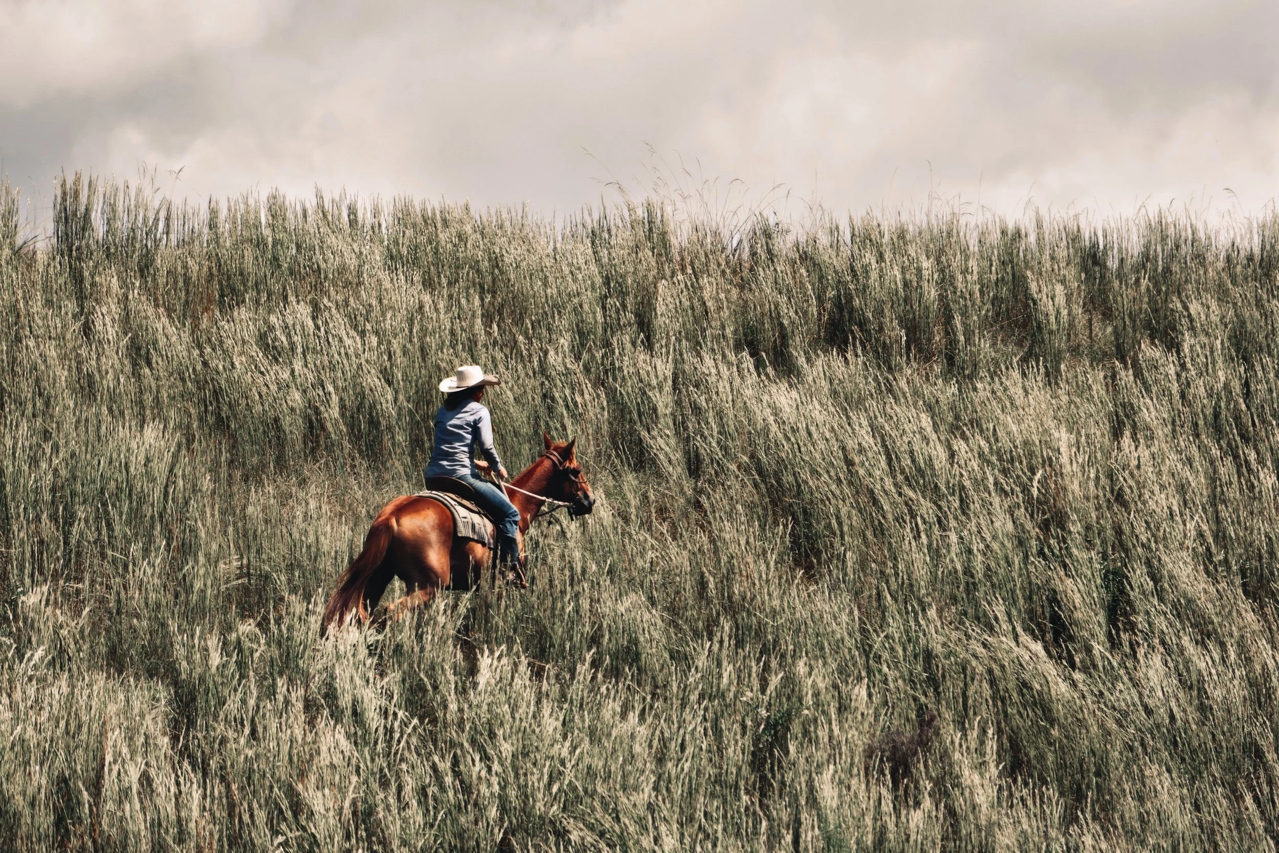 10AE1FA7-A17B-47E9-9504-B6FCA924EB6B_COLOURTONE 2.jpeg