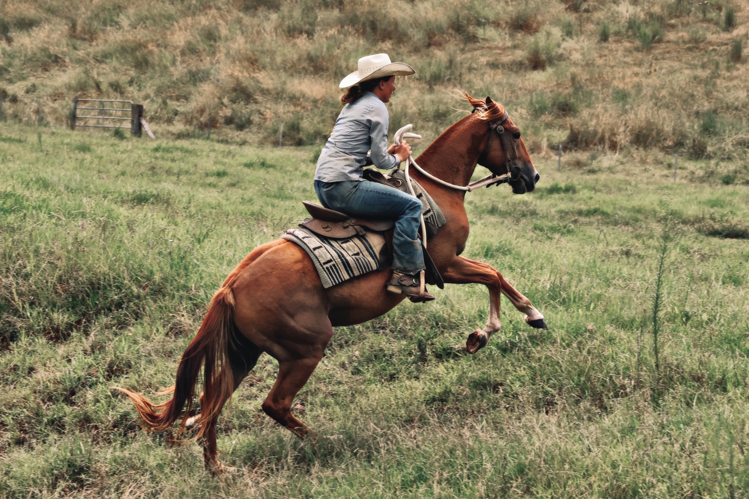 6F464BC9-9BCD-4982-9FFD-2F10D7ED7474_COLOURTONE 2.jpeg