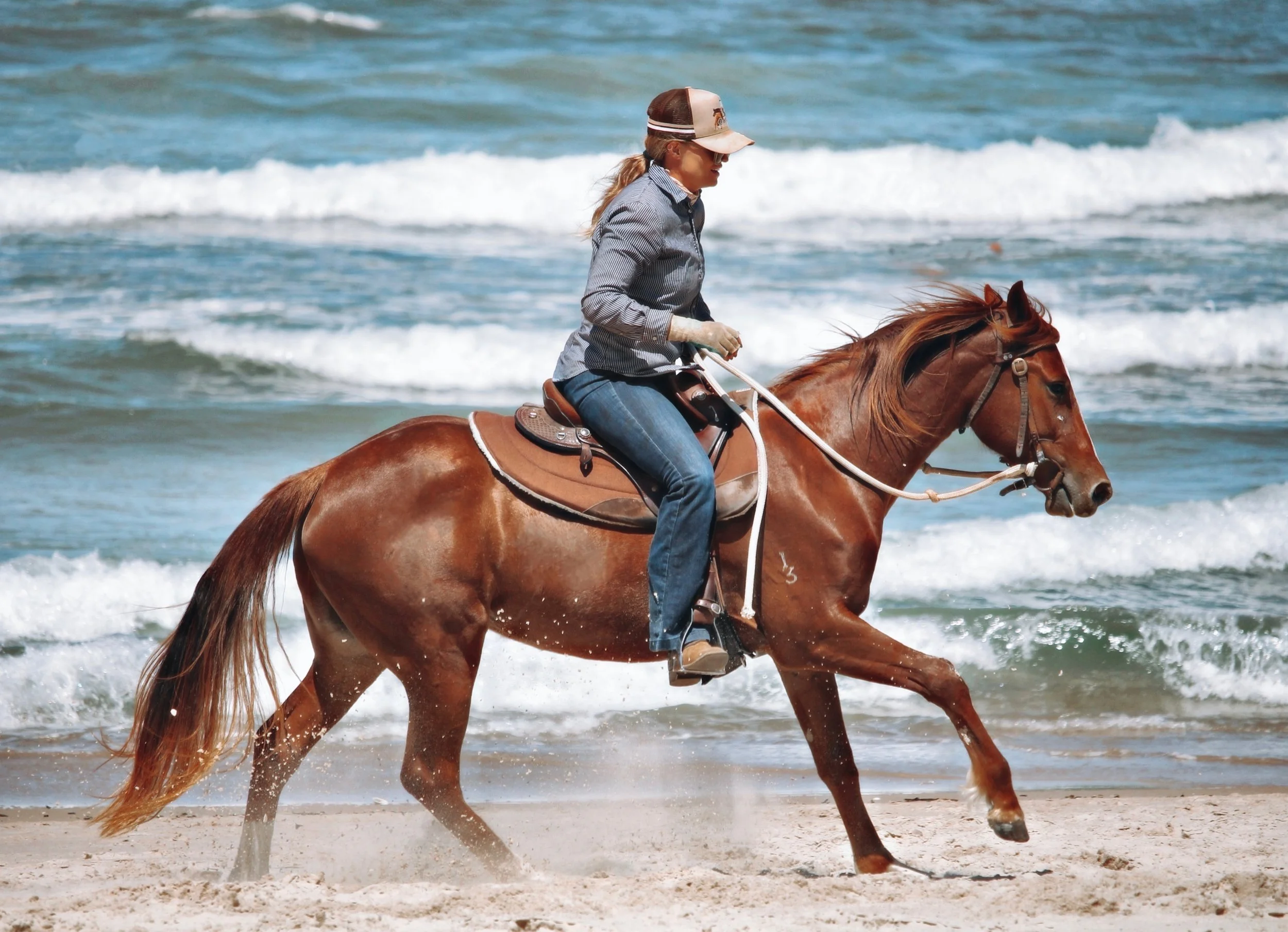 099781F8-C819-454D-83E0-3AD80C8BB3EF_COLOURTONE 2.jpeg