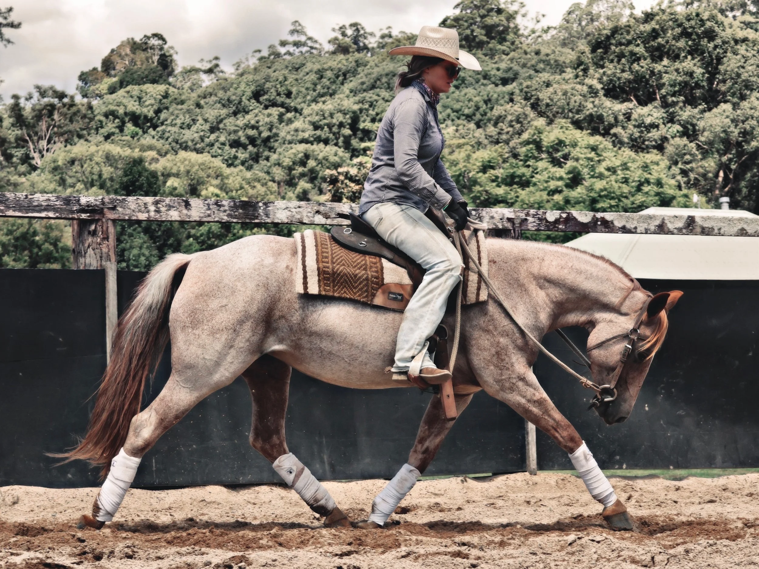 745A0F93-C1E4-4D49-AD9E-6FFE98C7113D_COLOURTONE 2.jpeg